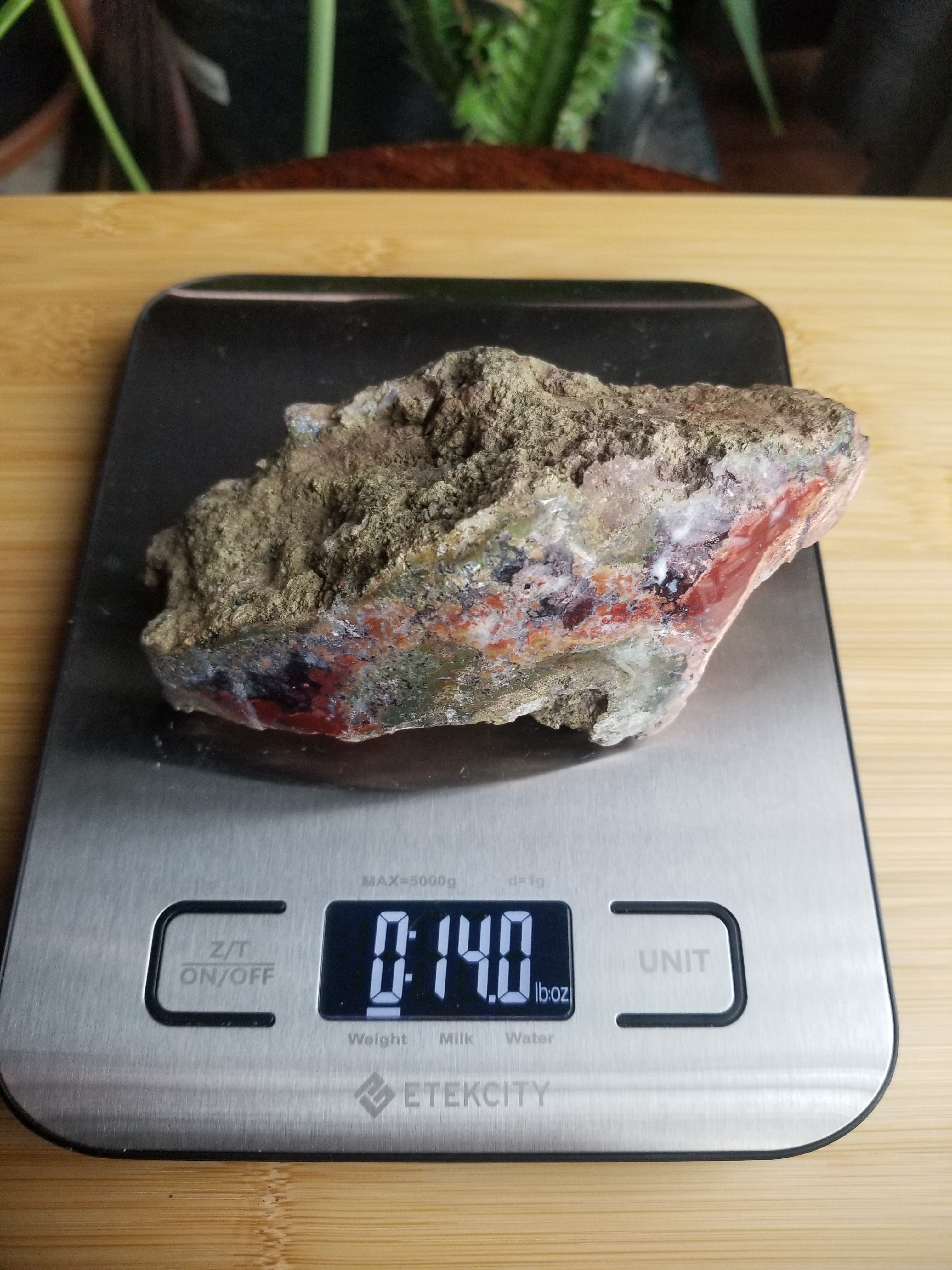 Beautiful Polished 5" Multicolor Indonesian Moss Agate Freeform 14oz Specimen