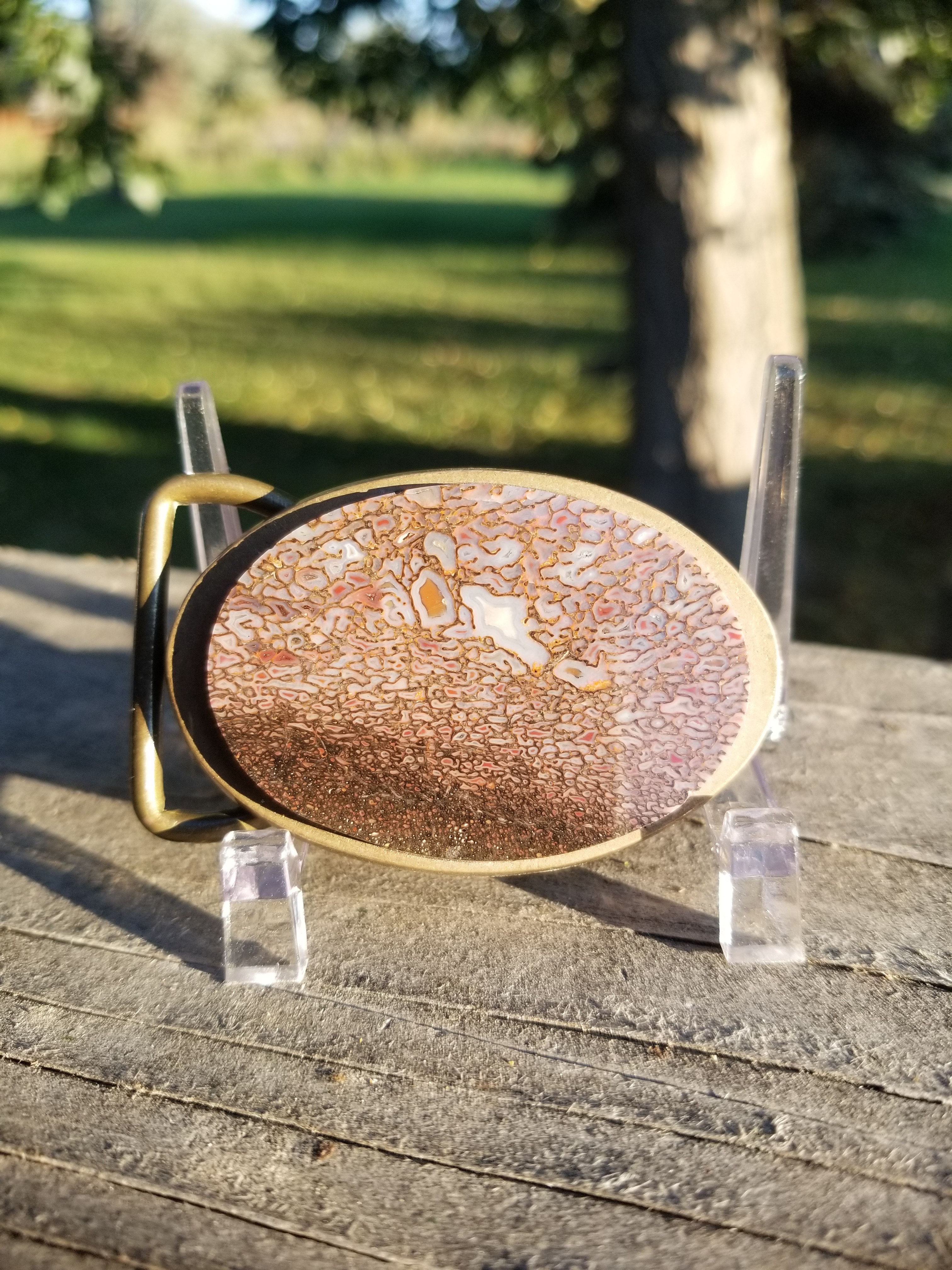 Beautiful Polished Agatized Dinosaur Gem Bone Belt Buckle Vintage Brass Handmade
