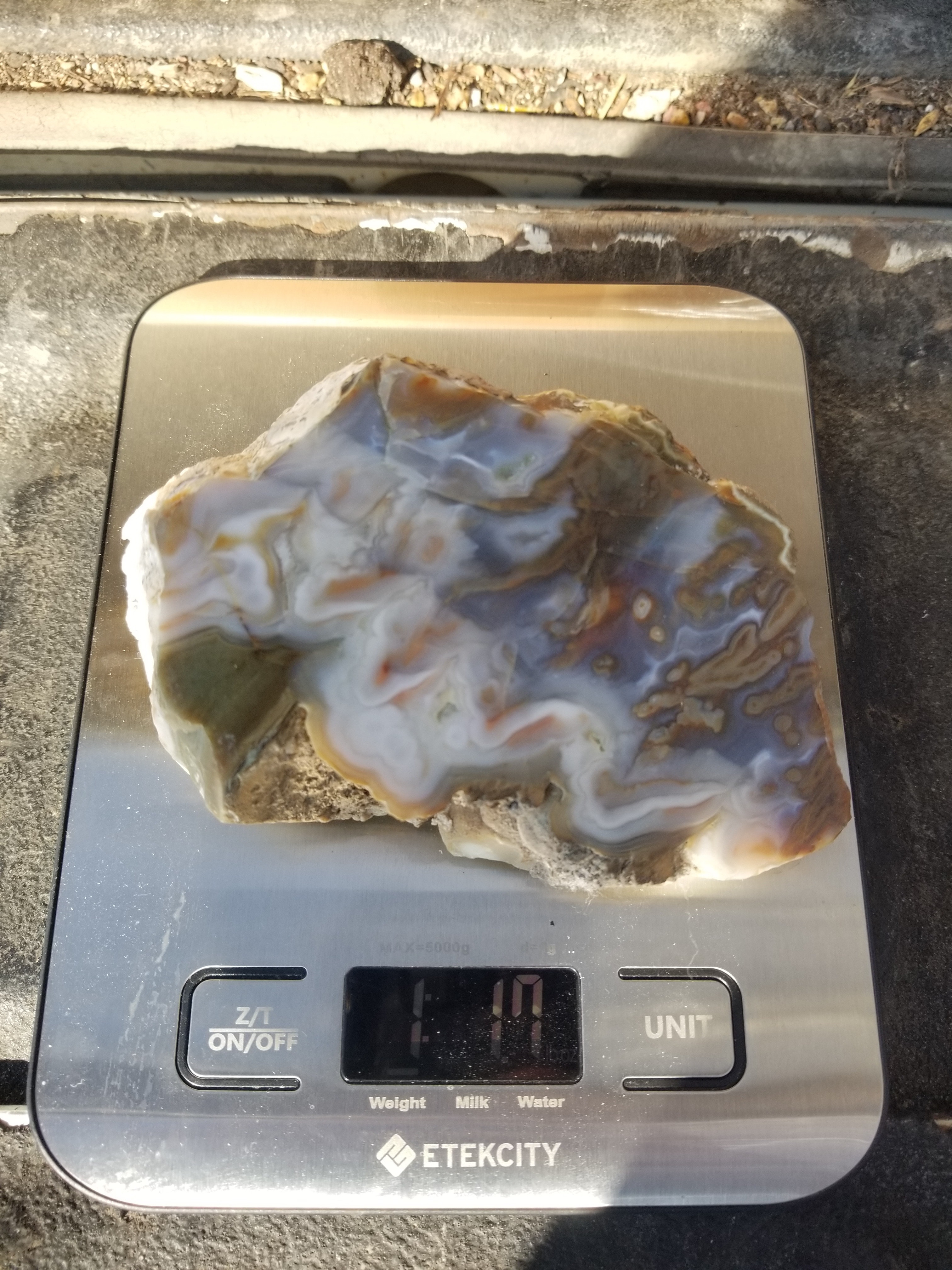 Unique Graveyard Point Cream Plume Moss Agate Polished Specimen Owyhee Canyon