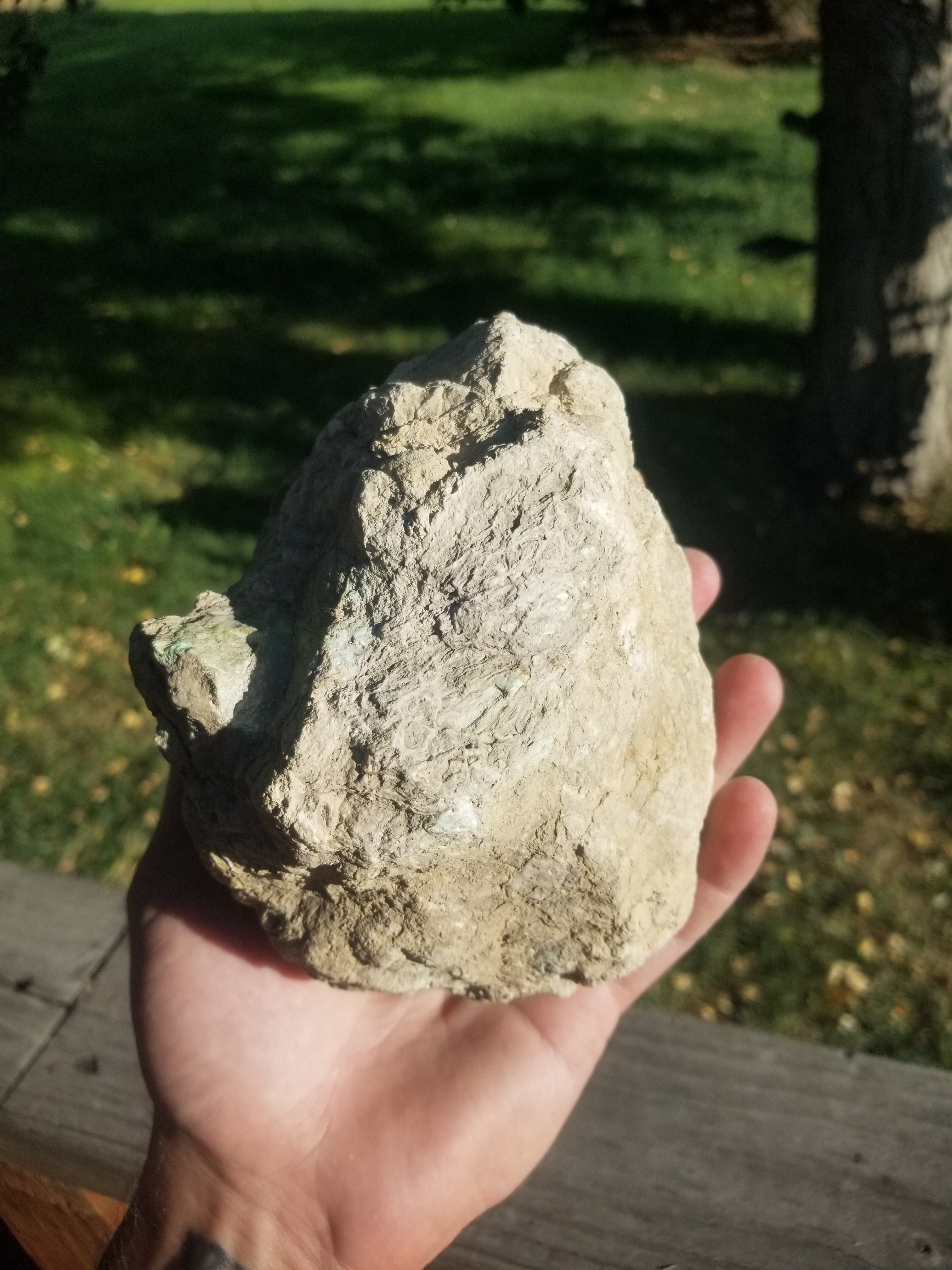 Beautiful Polished Spiderweb Lucin Variscite Utah Half Nodule Specimen 5.5x4.25" 3.4Lb