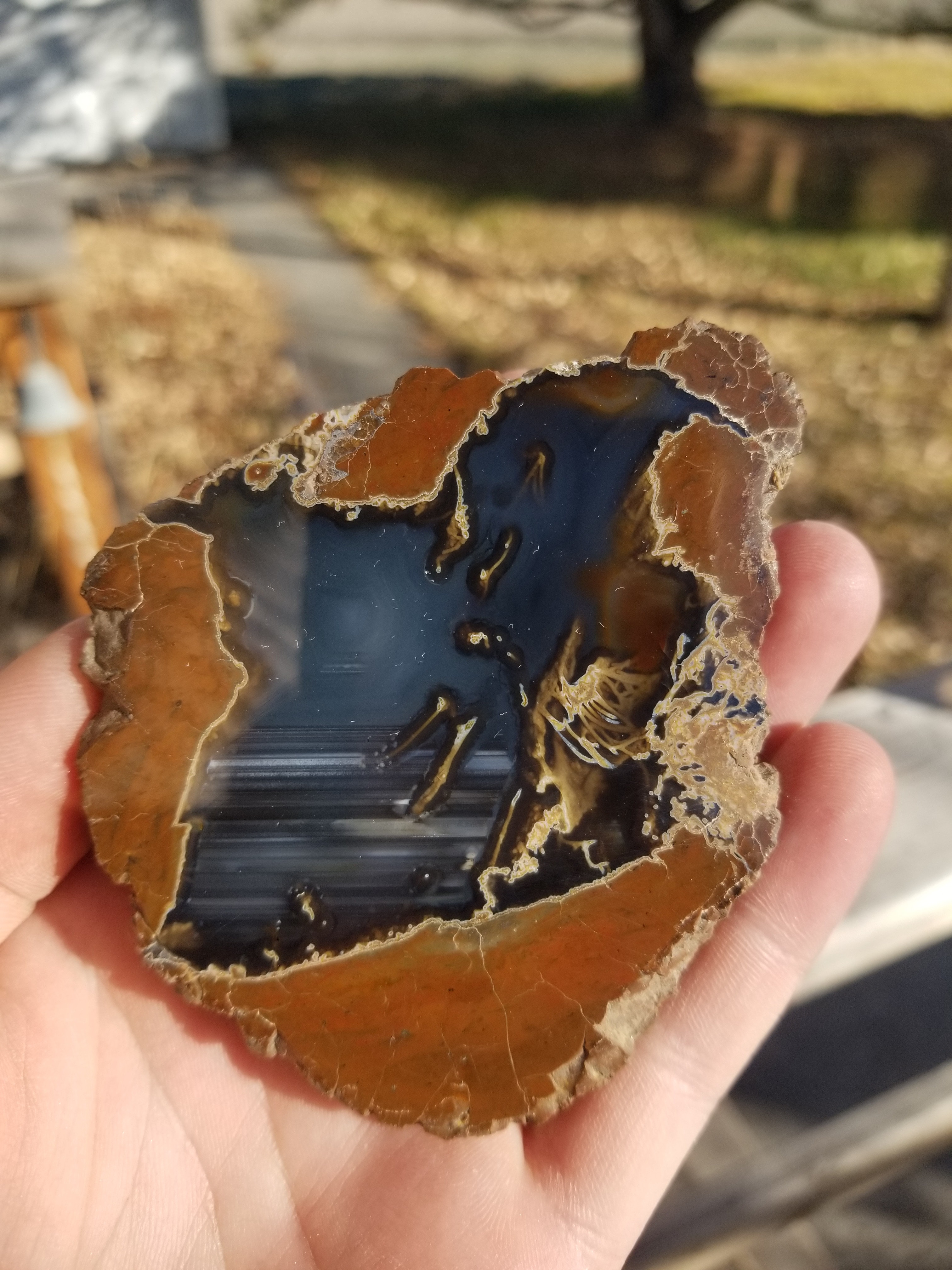 Beautiful Polished Thunder Egg Half Geode Nodule Specimen Great Star Pattern, Moss, & Water lines