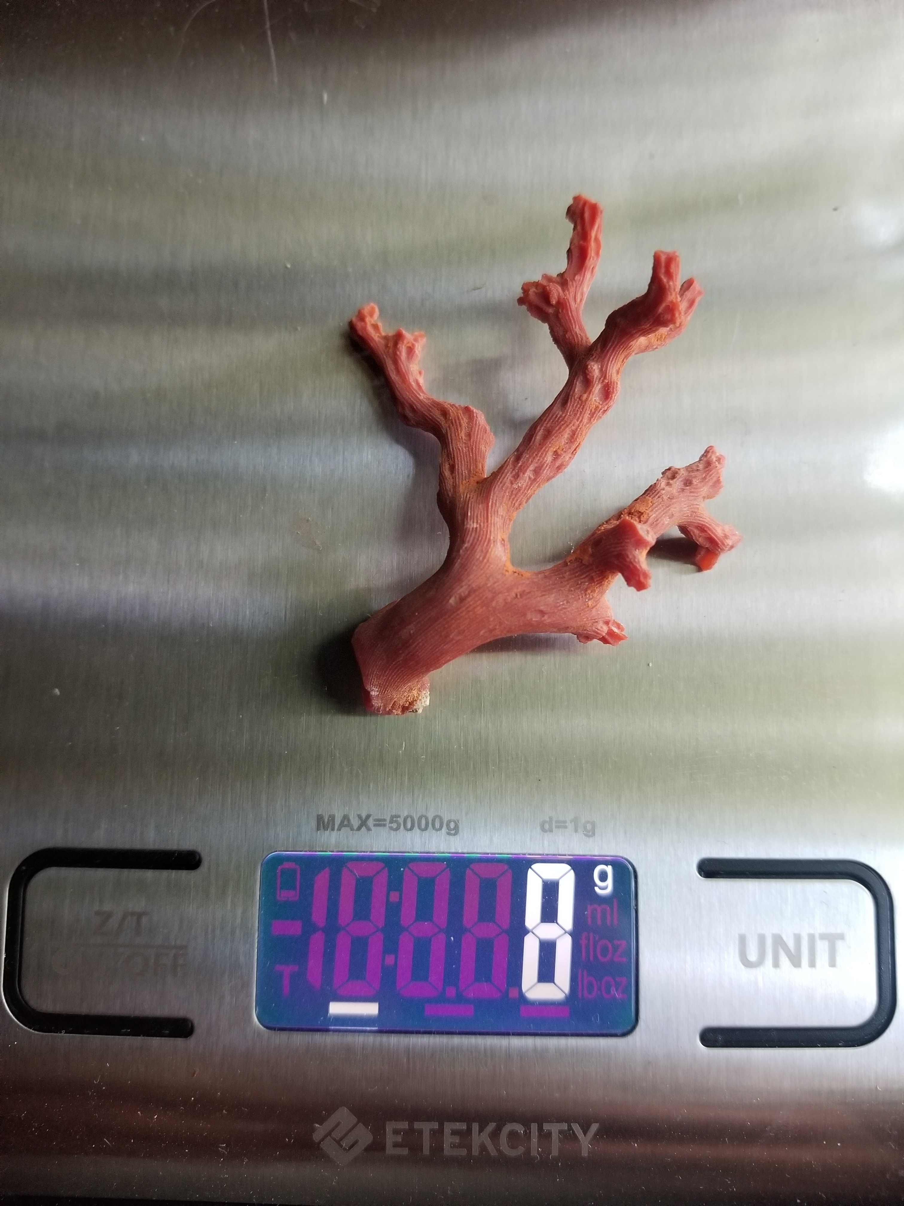 Beautiful Rare Mediterranean Precious Red Coral Unpolished Loose Branch Corallium Rubrum 8g Natural