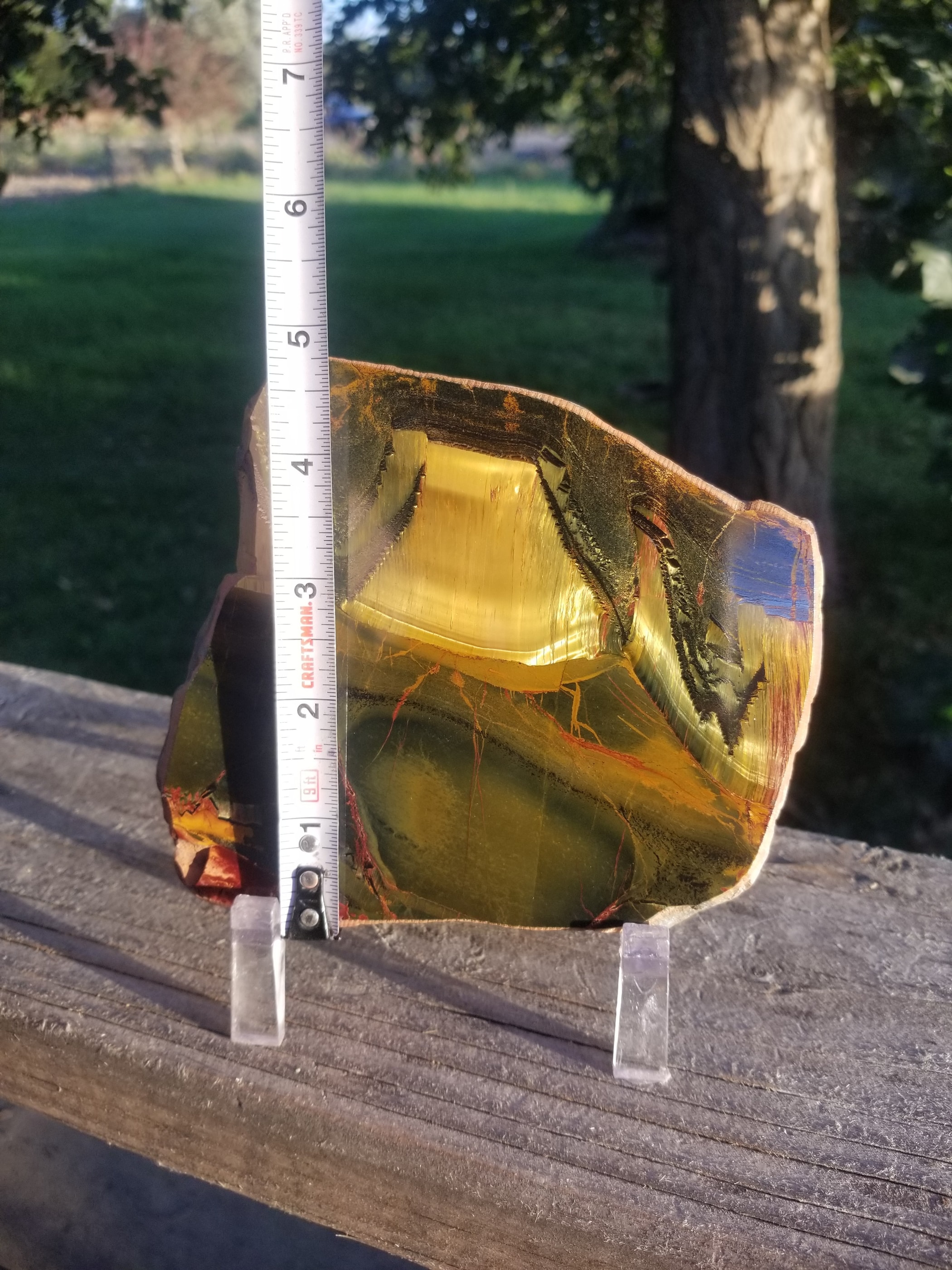 Beautiful Rare Polished Marra Mamba Tiger's Eye Picture Slab Thick Specimen 6x3.5" 1+Lb - Australia