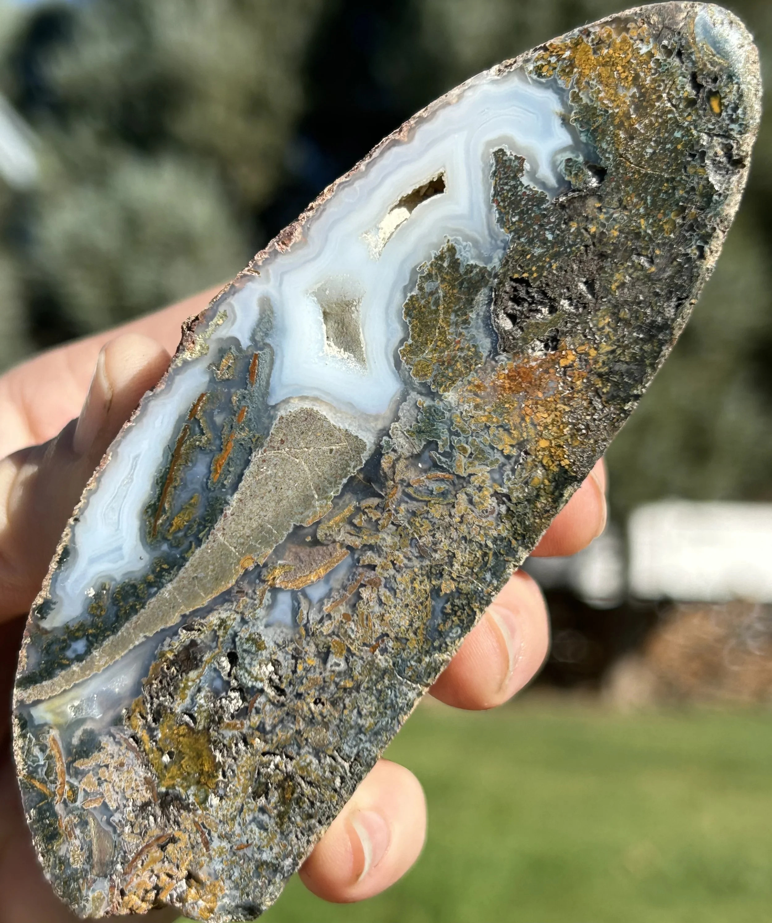 Nice Beacon Hill Agate Half Specimen - Polished Scenic Mossy Druzy