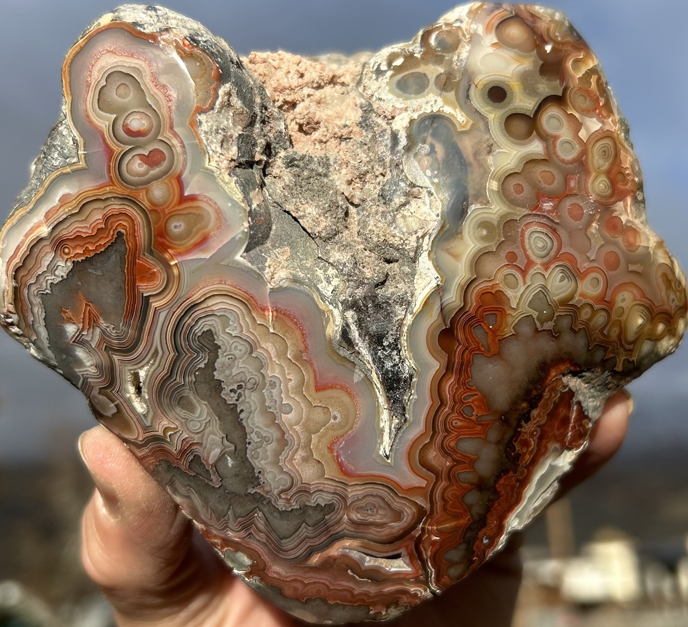Stellar Freeform Polished Mexican Crazy Banded Lace Agate Specimen Multicolor Botryoidal Eyes