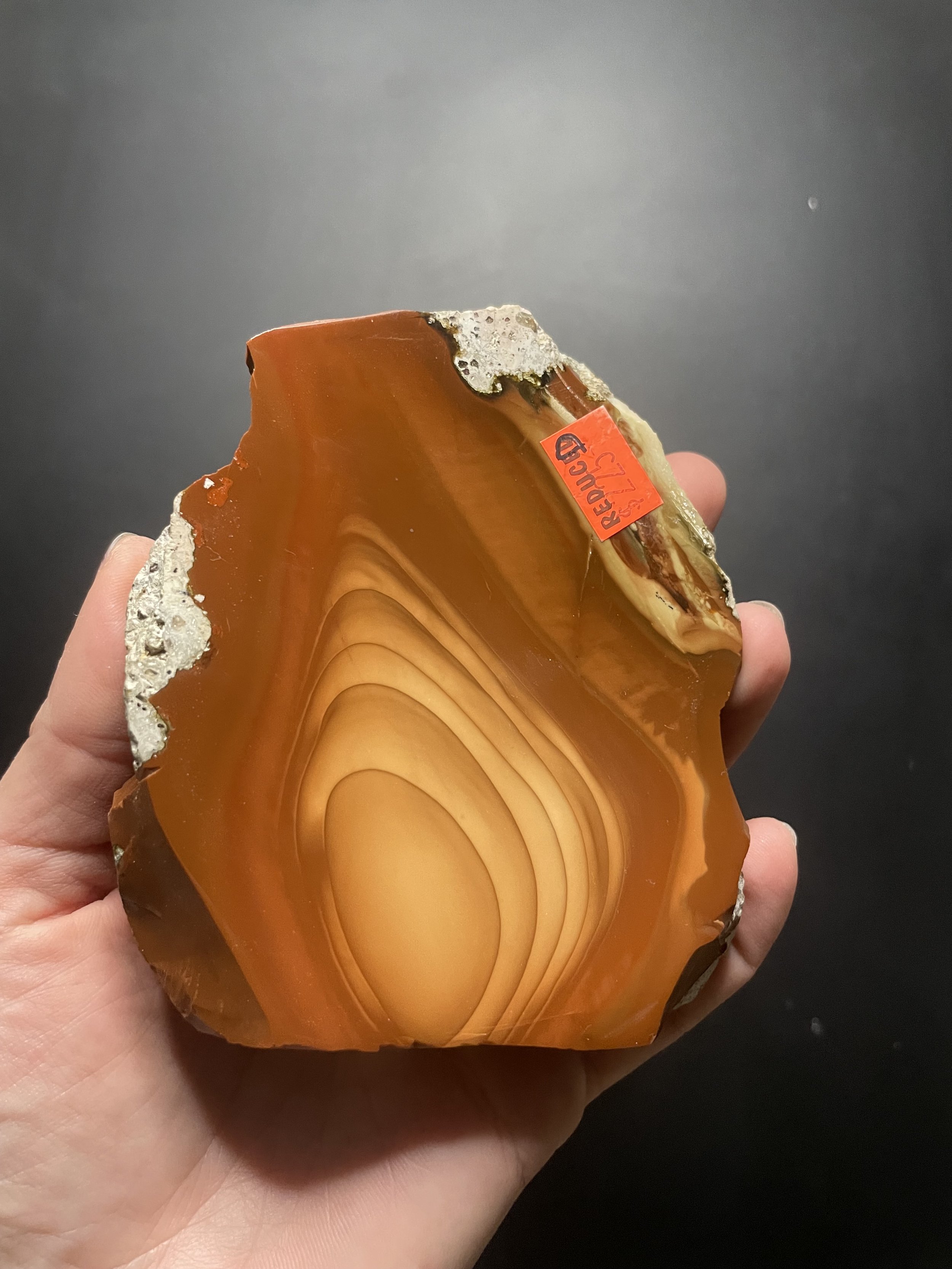 Beautiful Rare Orbed Bruneau Jasper Face Polished Specimen- Red Bruneau River Canyon Jasper