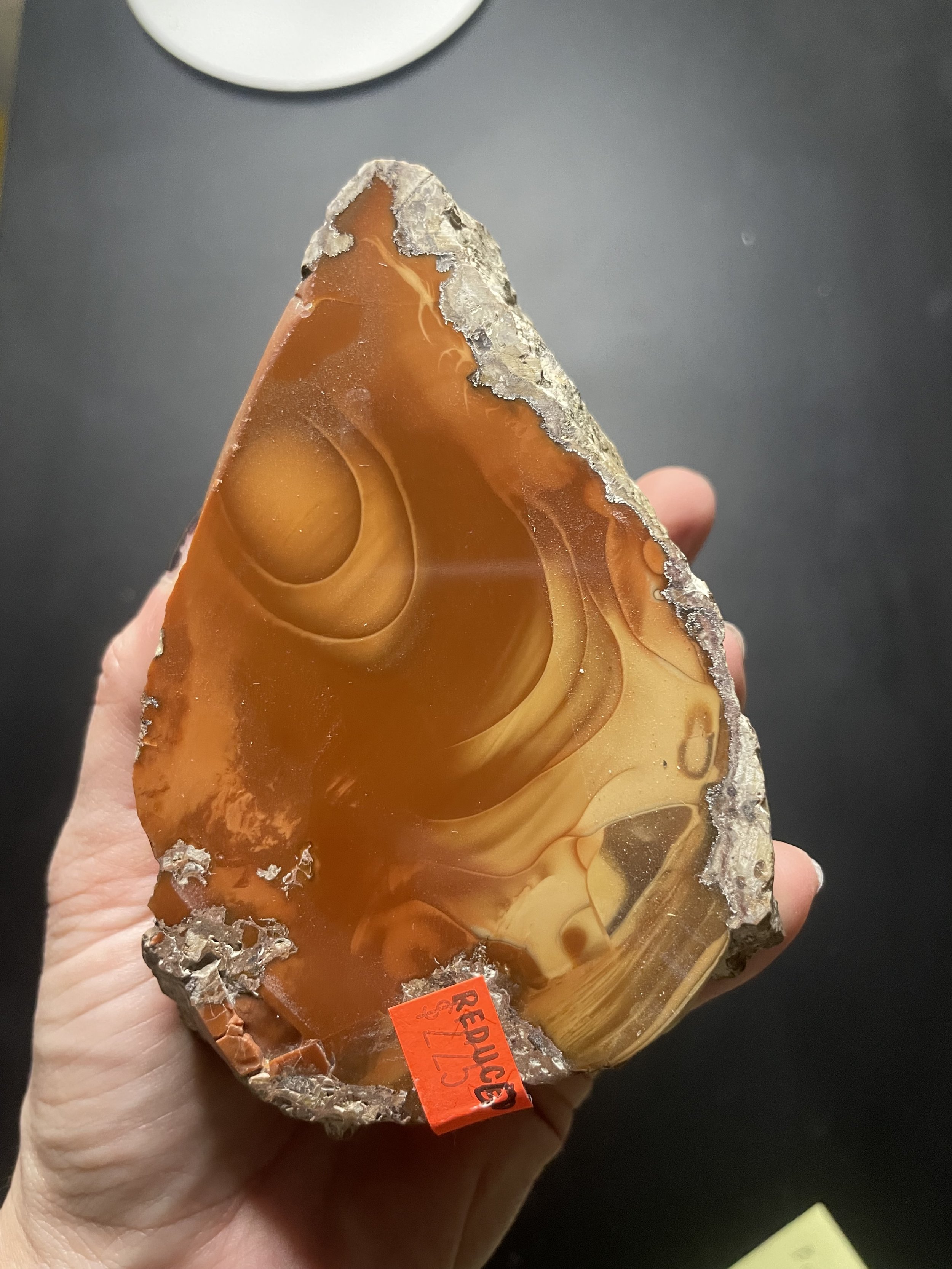 Beautiful Rare Orbed Bruneau Jasper Face Polished Specimen- Red Bruneau River Canyon Jasper