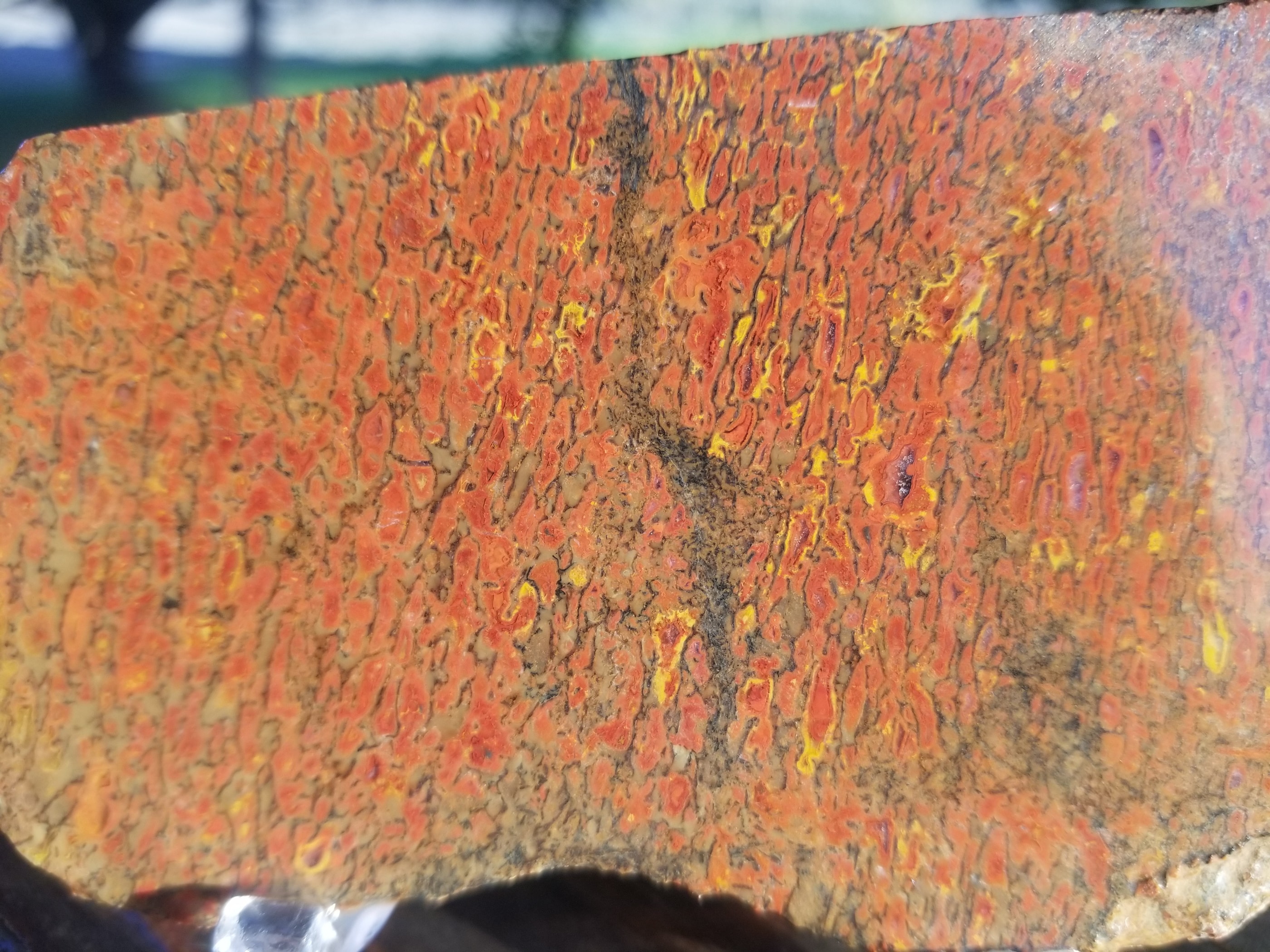 Deep Red Agatized Dinosaur Gem Bone Slab 109g