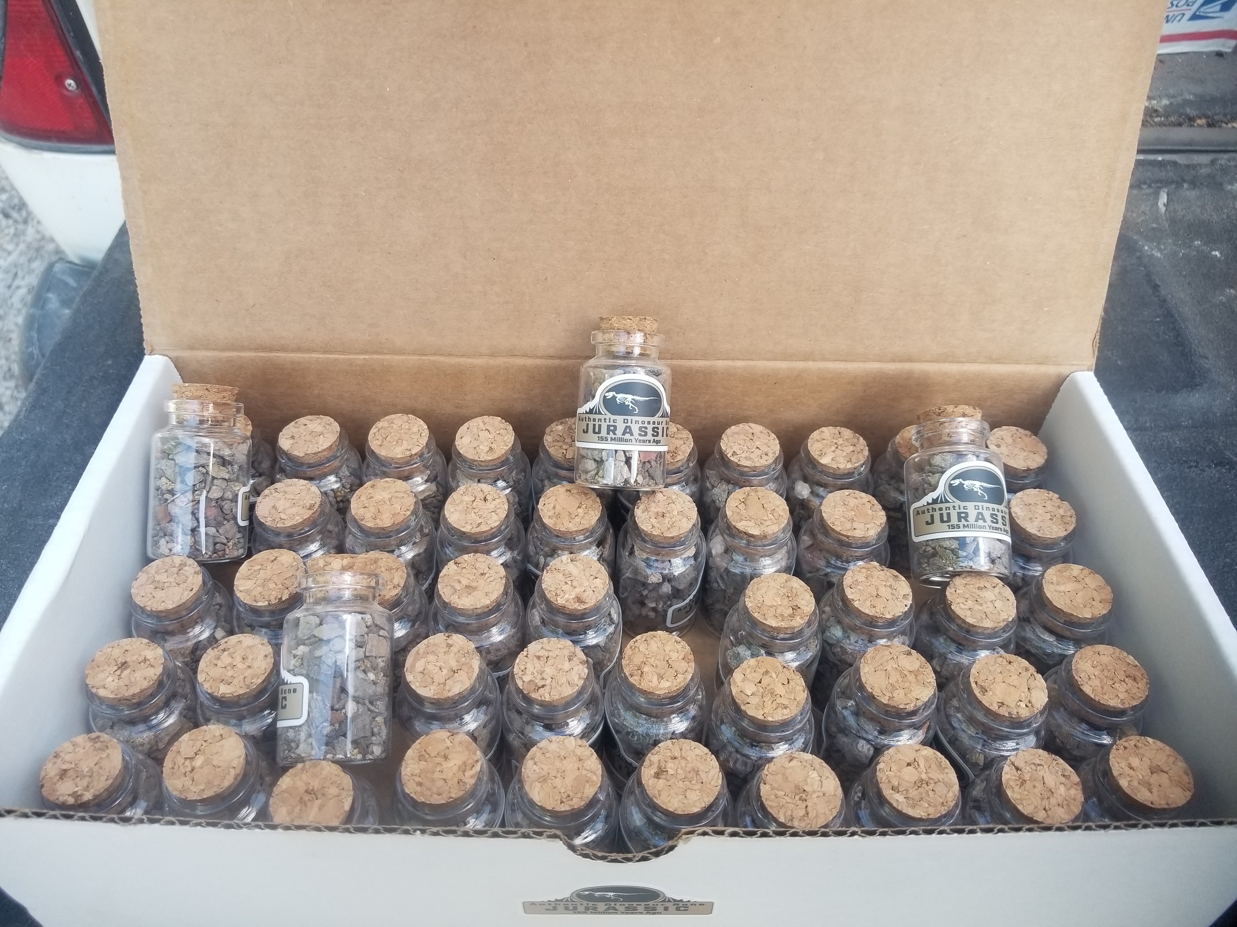 *Wholesale - Full Box of 50 Educational and Collectible Dinosaur Bone Fragment Vials Jurassic Era Morrison Formation 2"