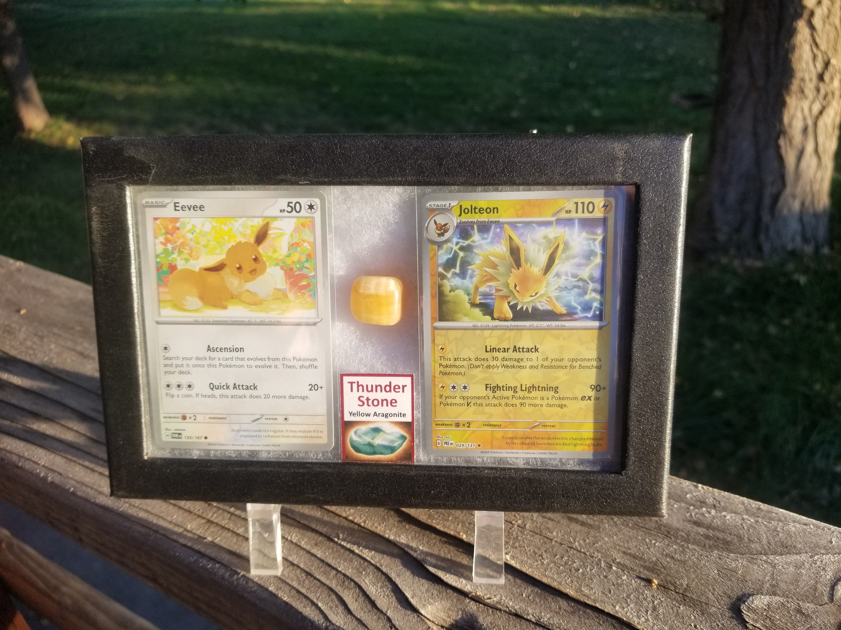 Pokemon Card Display w/Fossil Correlated to Card