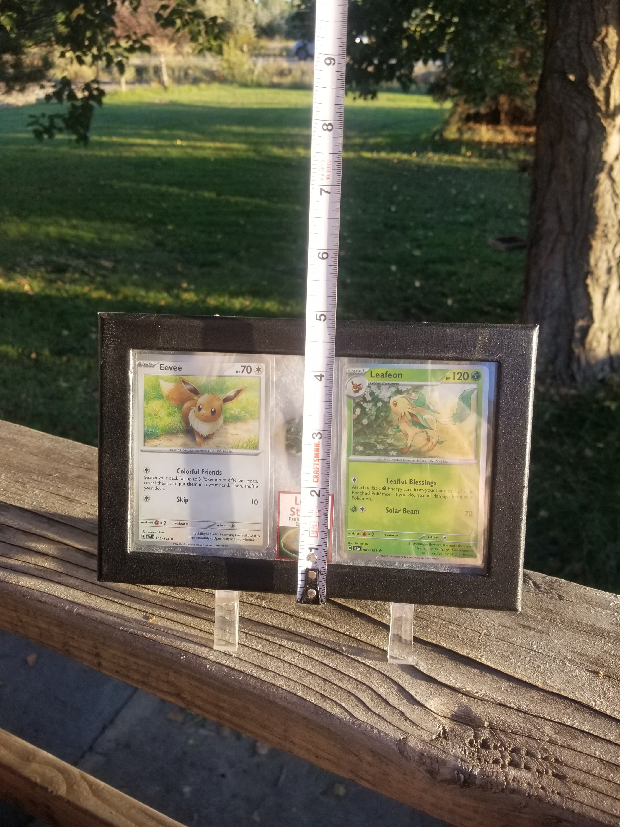 Pokemon Card Display w/Fossil Correlated to Card