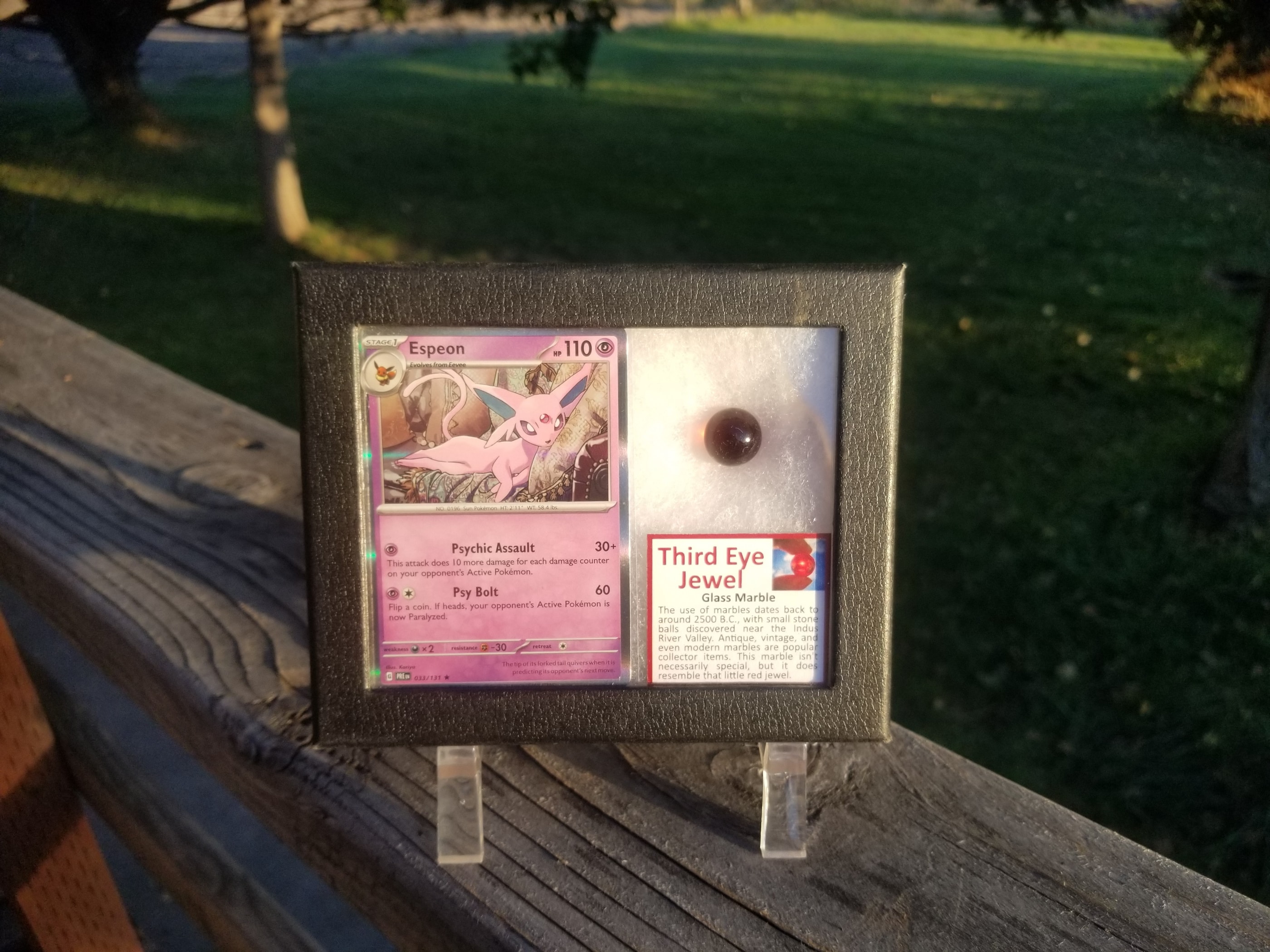 Pokemon Card Display w/Fossil Correlated to Card