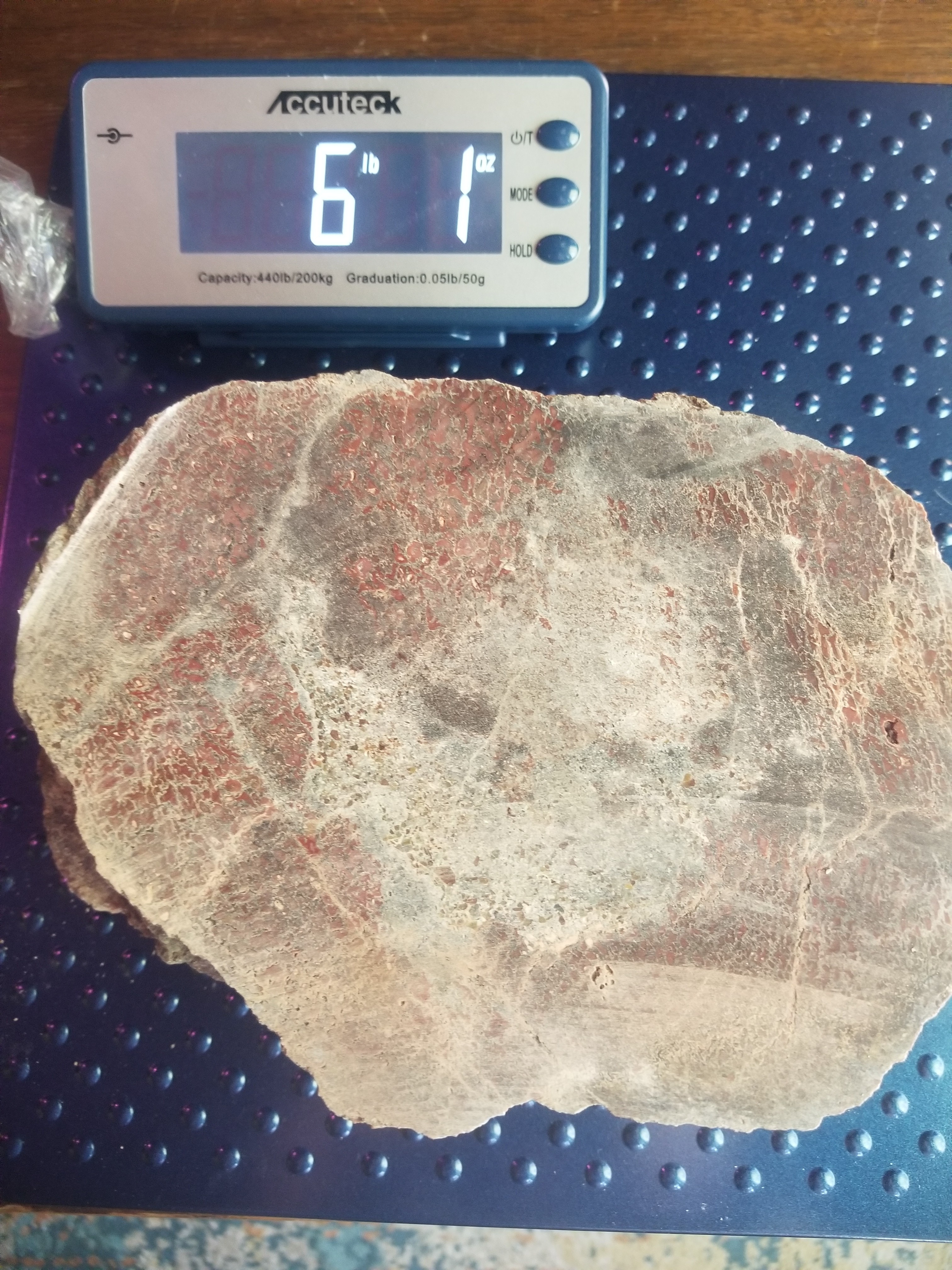 Great Agatized Dinosaur Gem Bone Multicolor Natural Specimen Rough/Unpolished 6Lb