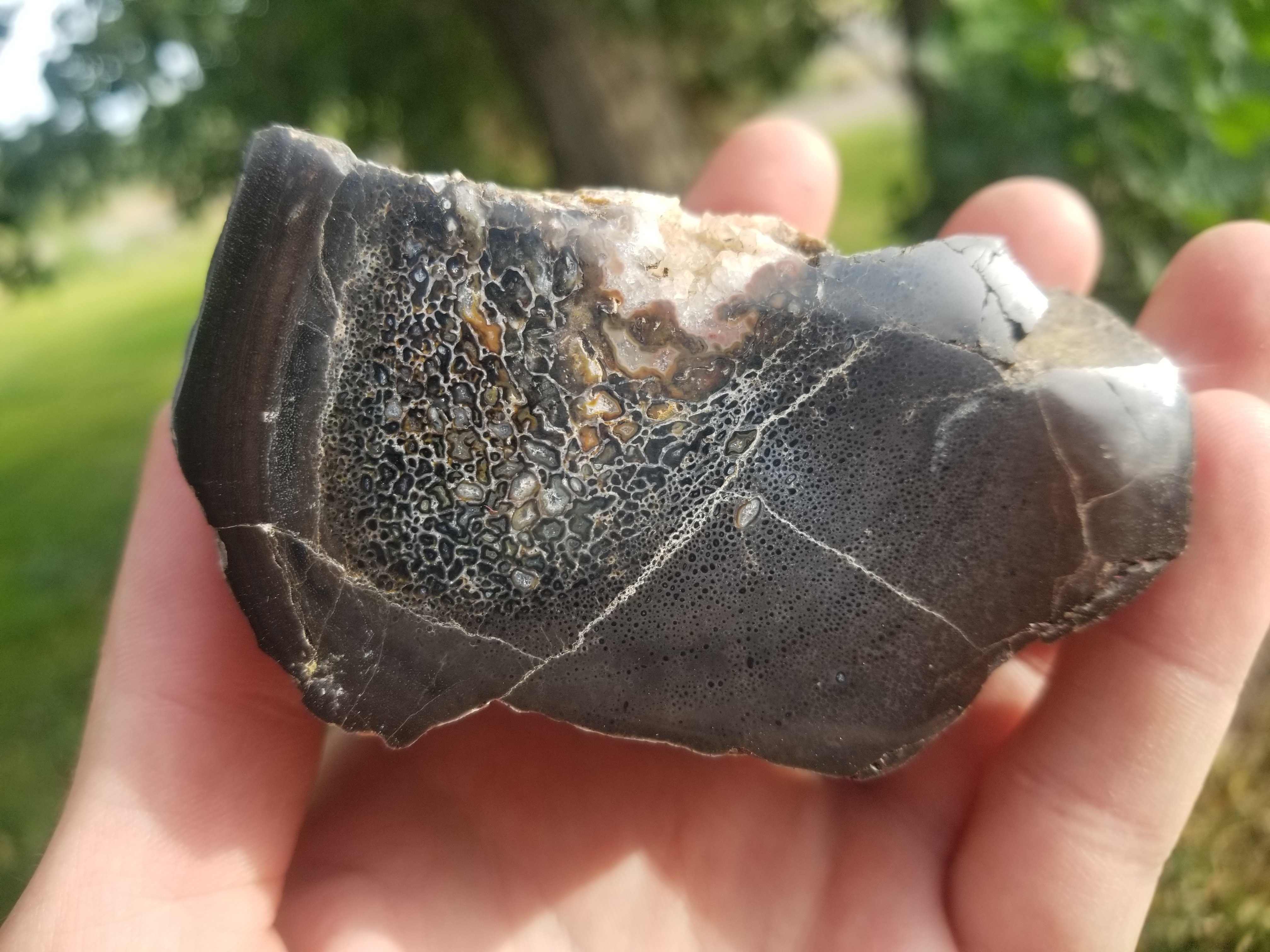 Great Polished Multicolor Cell Agatized Jurassic Dinosaur Gem Bone Endcut Specimem 316g w/Druzy Crystals