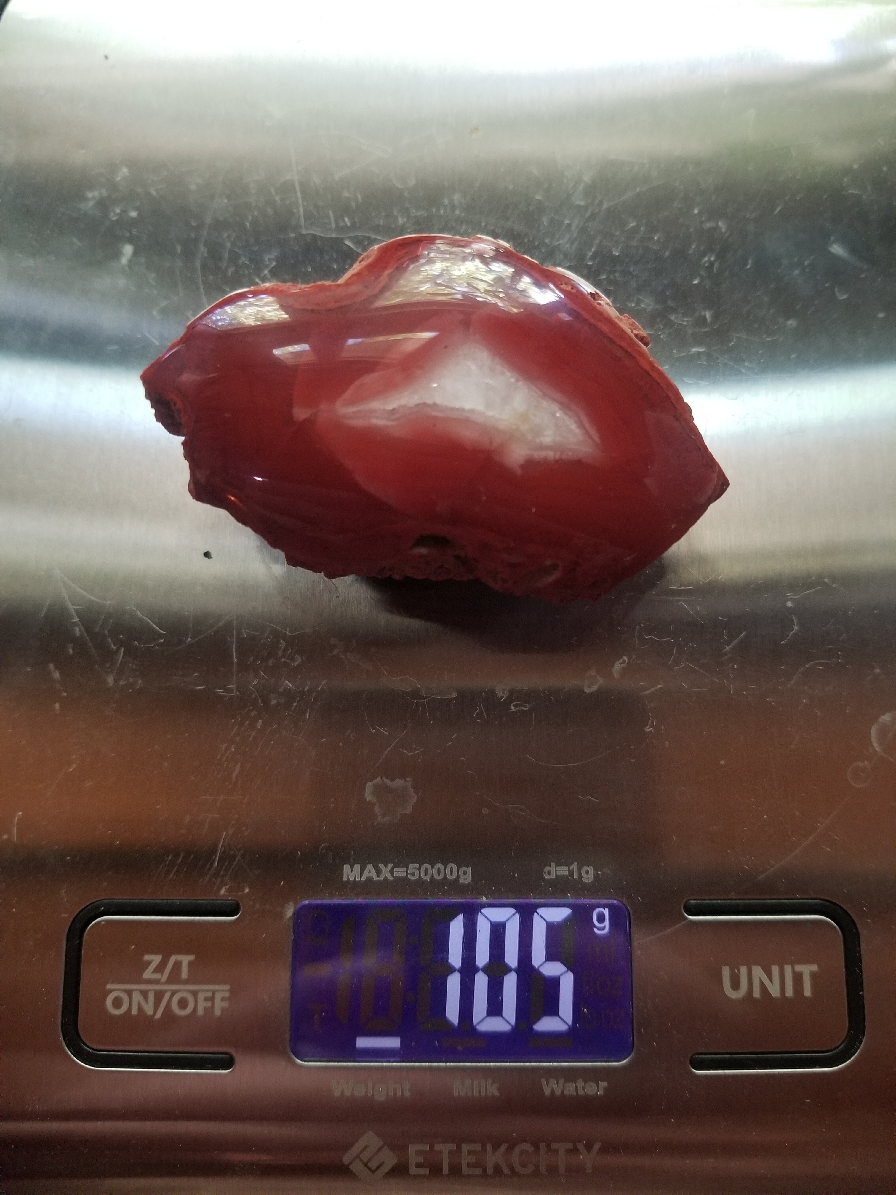 Highly Coveted Polished Yellow Cat Red Wood - Petrified Agatized Wood Specimen 105g, UT