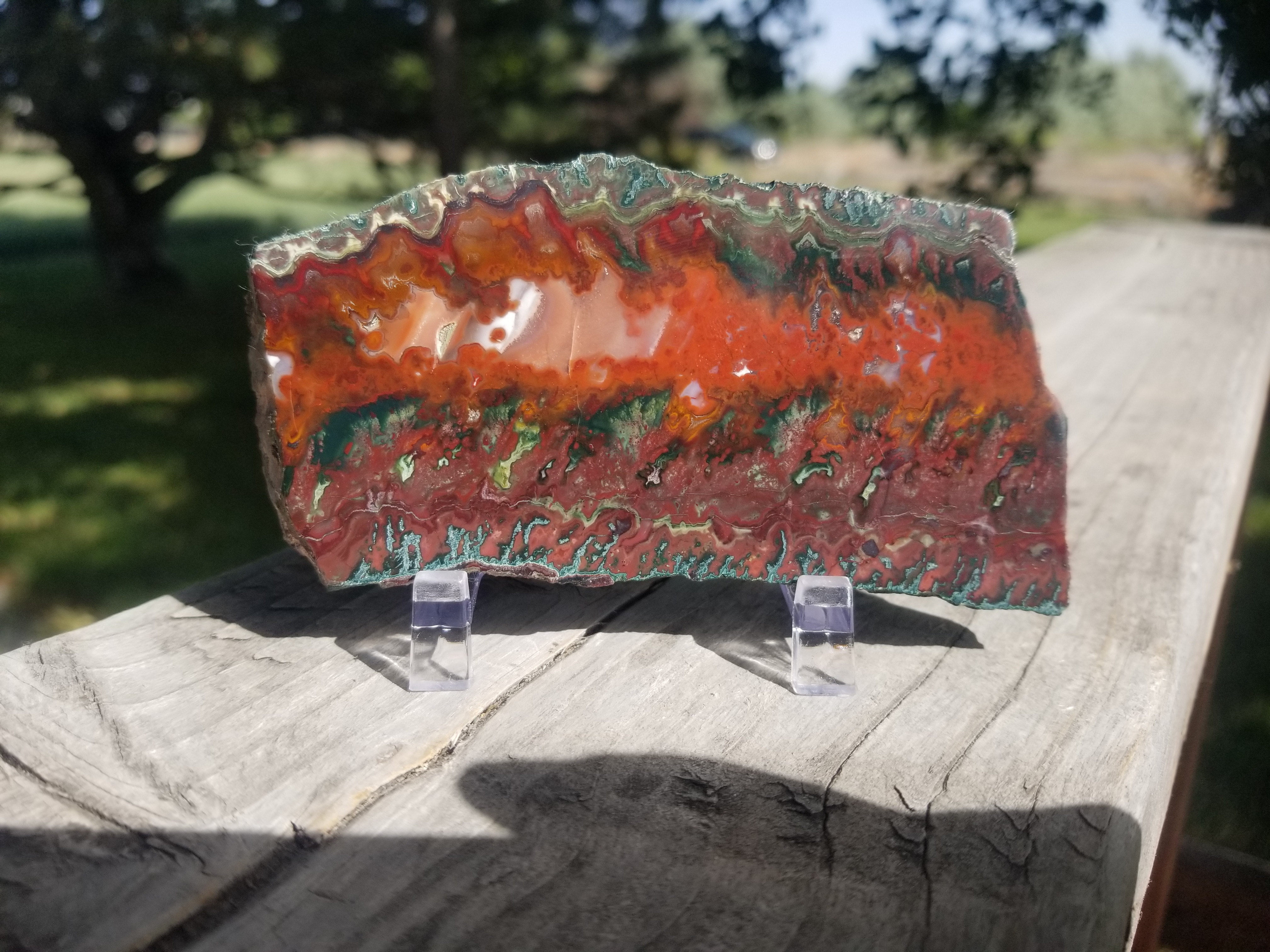 Incredible Large Idaho Sunset Lone Juniper Jasper Agate Polished Slab Specimen