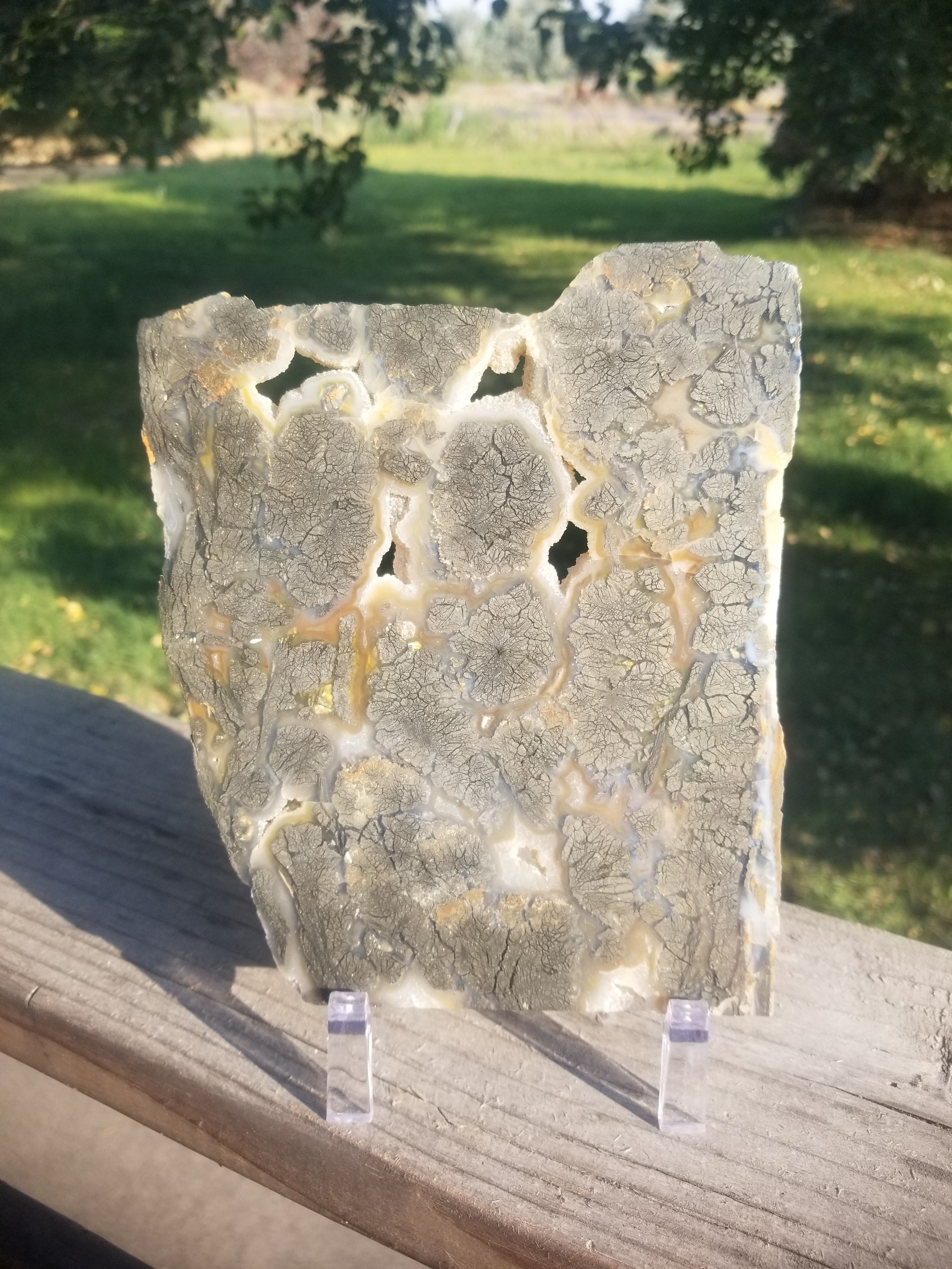 Incredible Large Polished Marcasite Agate Slab 1Lb 7.5"x6" - Iron Sulfide w/ Orthorhombic Crystal Structures & Druzy Pockets