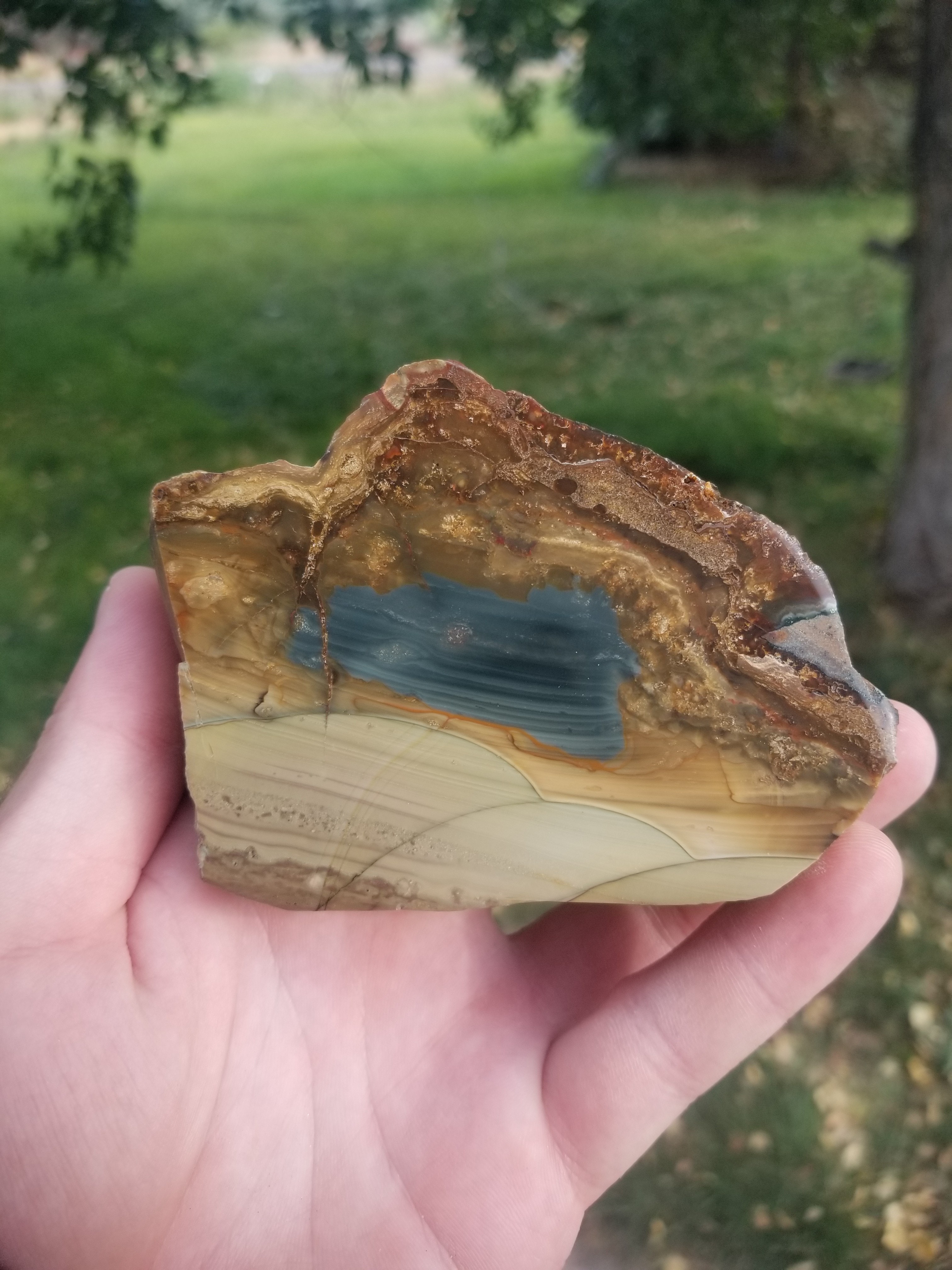 Beautiful Scenic Blue Mountain Orbed Jasper Polished End Cut Specimen Orbs Multicolor 1Lb view 6