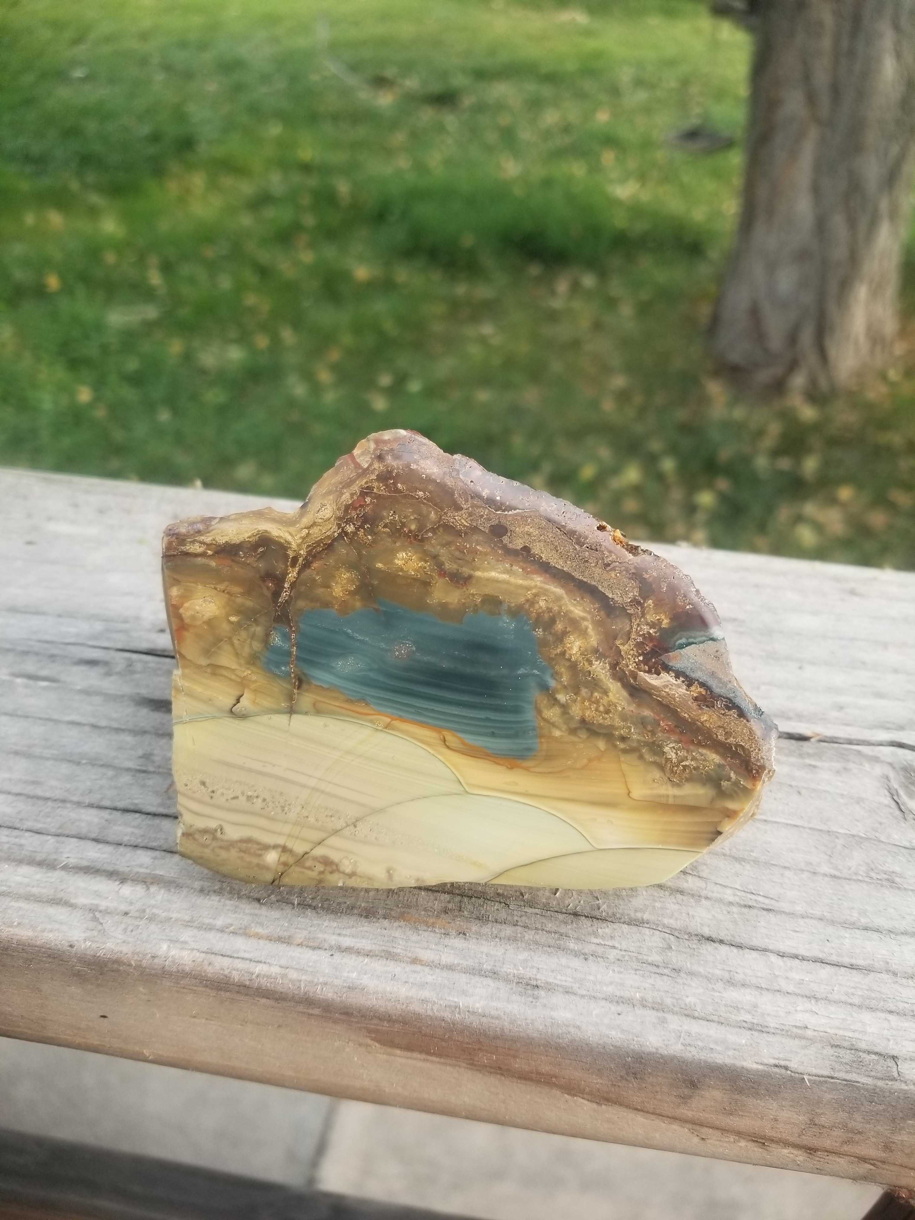 Beautiful Scenic Blue Mountain Orbed Jasper Polished End Cut Specimen Orbs Multicolor 1Lb view 7