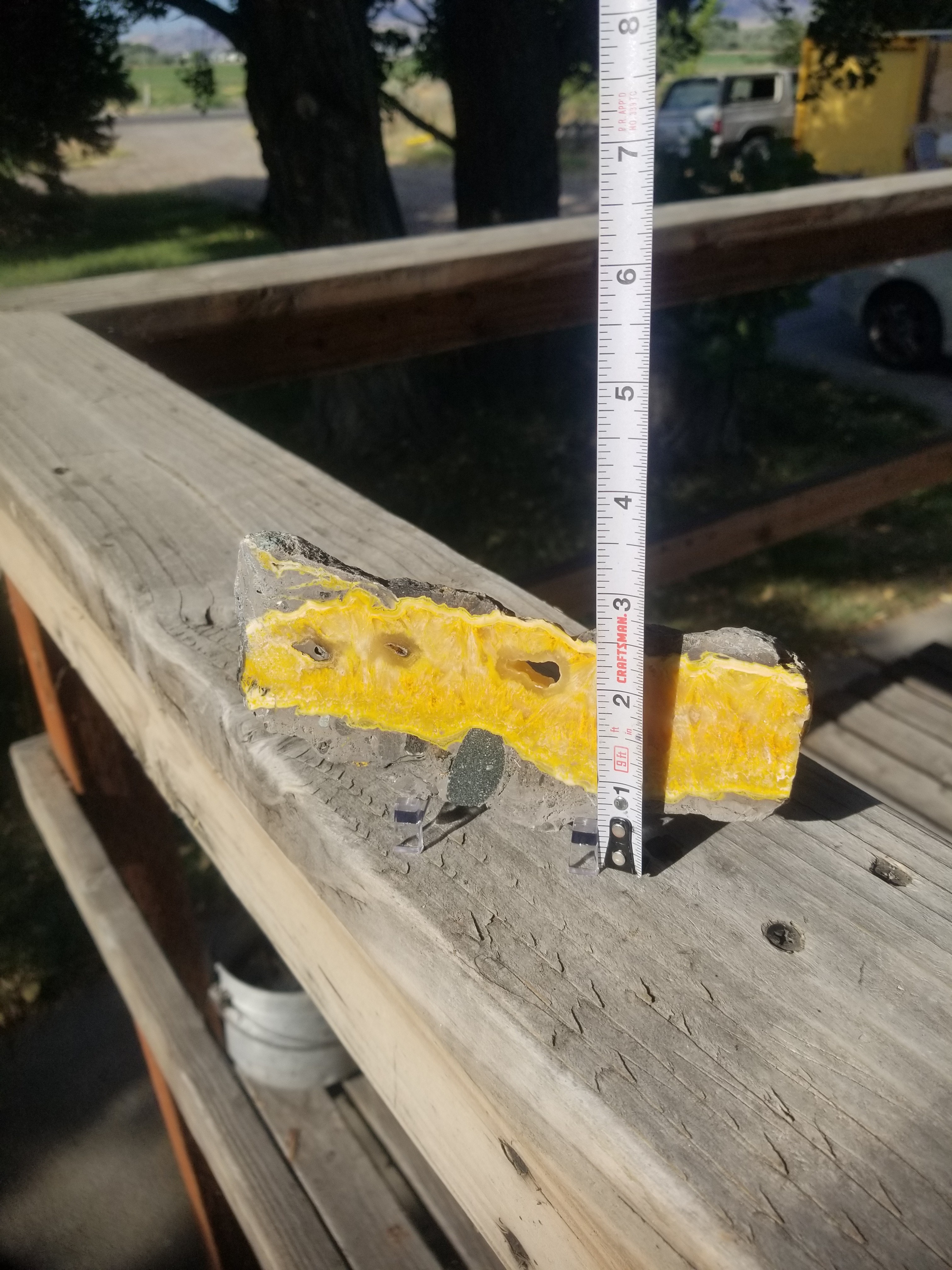 Nice Polished Both Sides Bumble Bee Jasper Slab Specimen Natural Yellow
