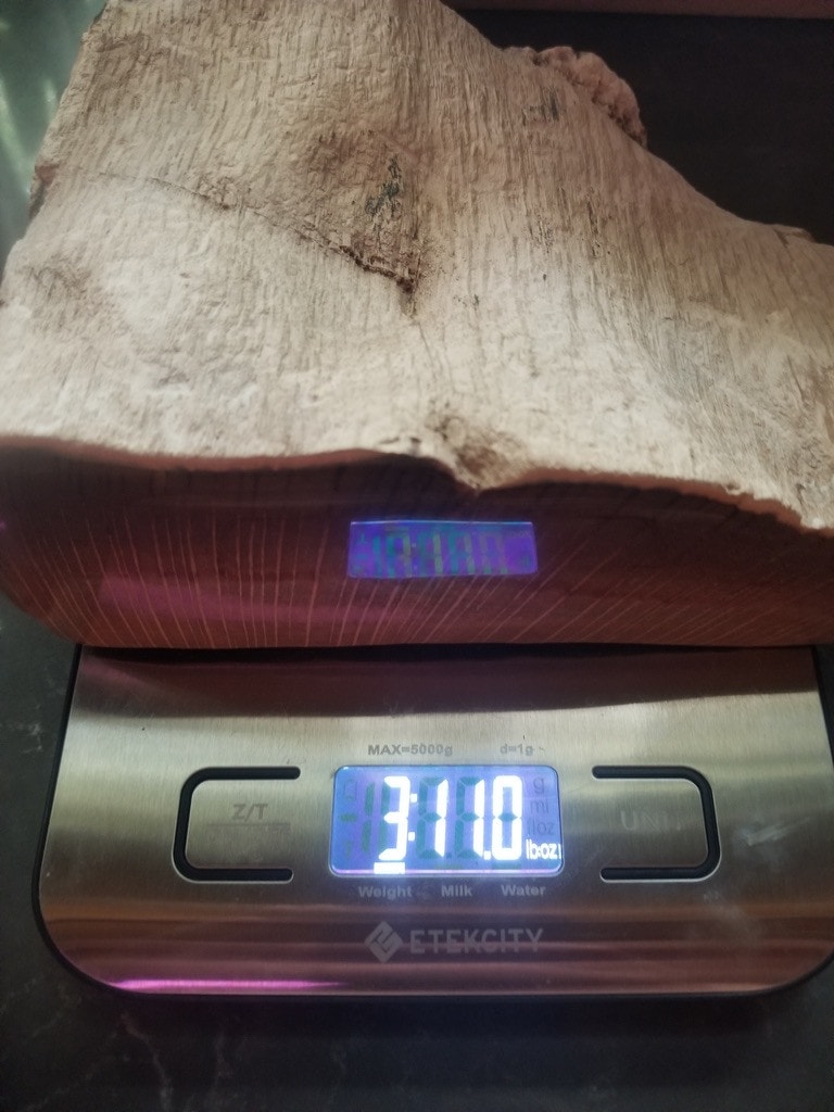 Incredible Rare Polished Petrified Tiger Stripe Oak Wood Specimen 3.7Lb
