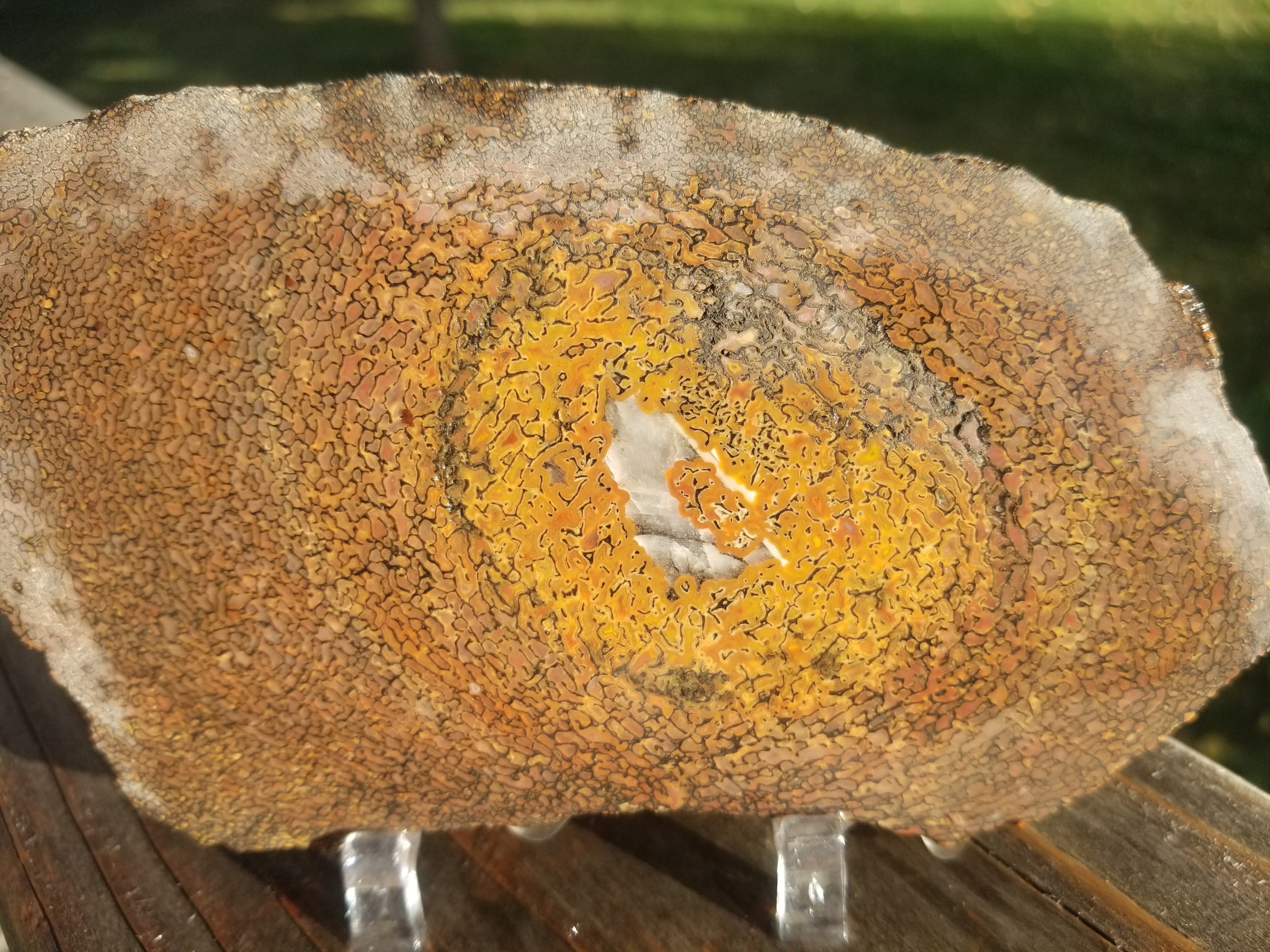 Rainbow Agatized Dinosaur Gem Bone Slab 153g Calcite Center