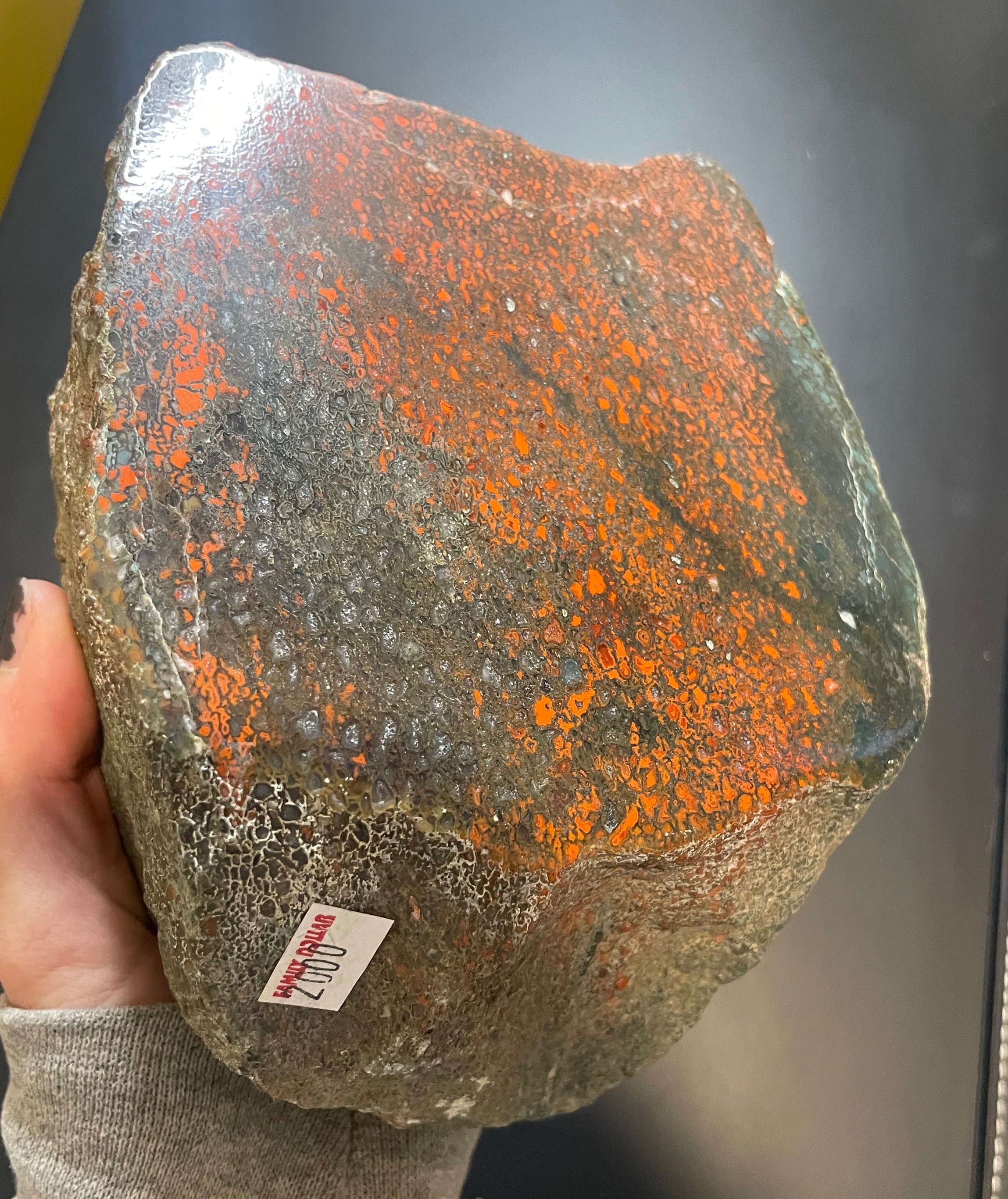 Incredible Deep Red Polished Dinosaur Gem Bone Specimen 4+Lb - Agatized Dinosaur Bone