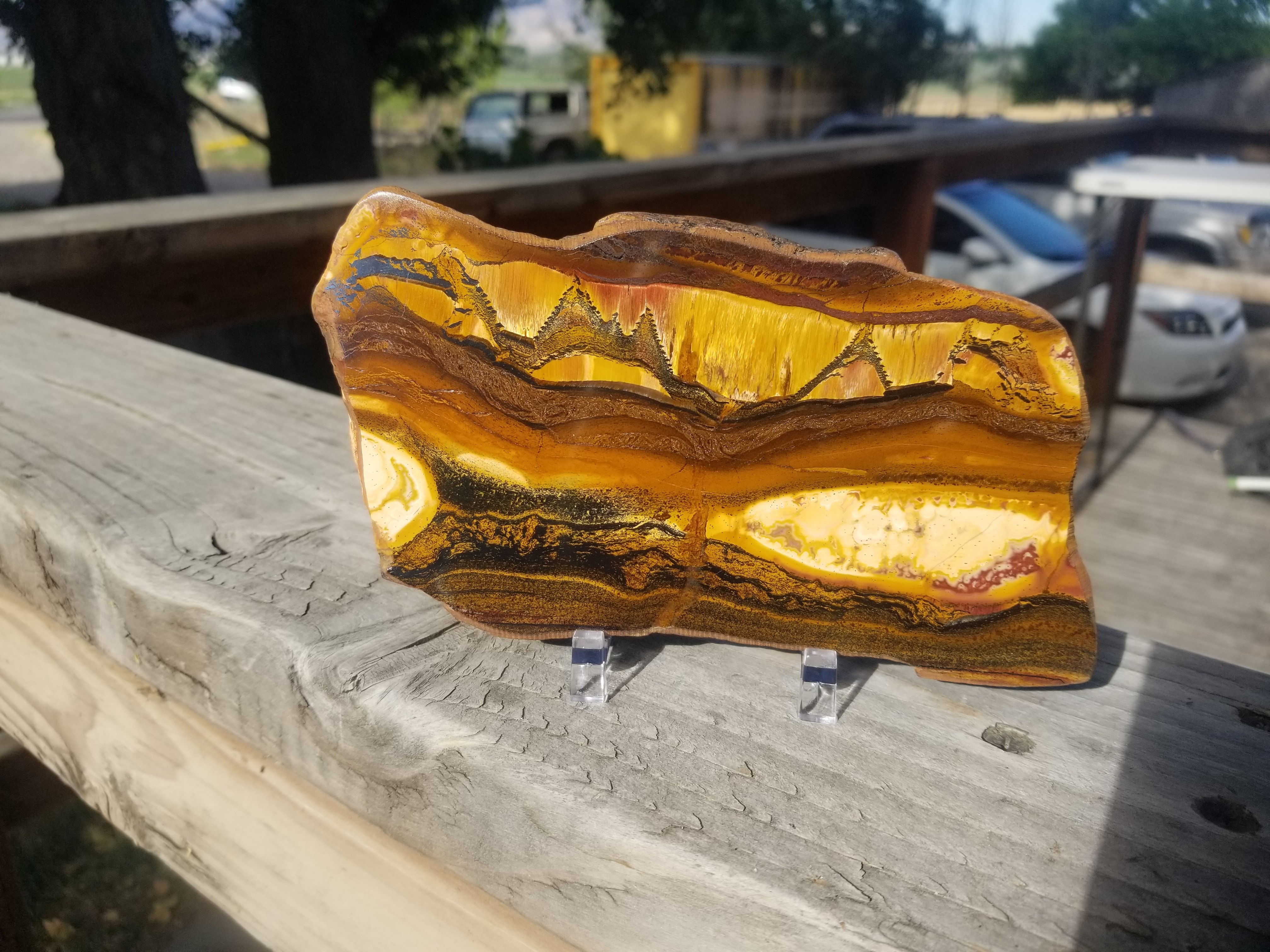Beautiful Rare Polished Marra Mamba Tiger's Eye Picture Slab Thick Specimen 6x3.5" 1+Lb - Australia