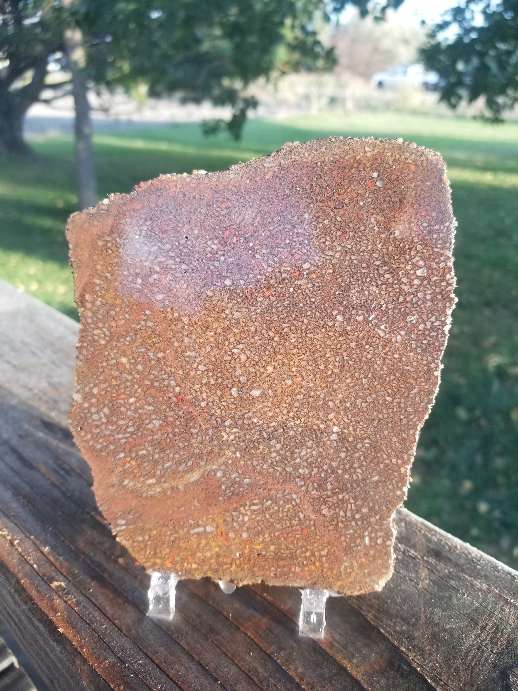 Large Multicolor Agatized Dinosaur Gem Bone Slab 276g