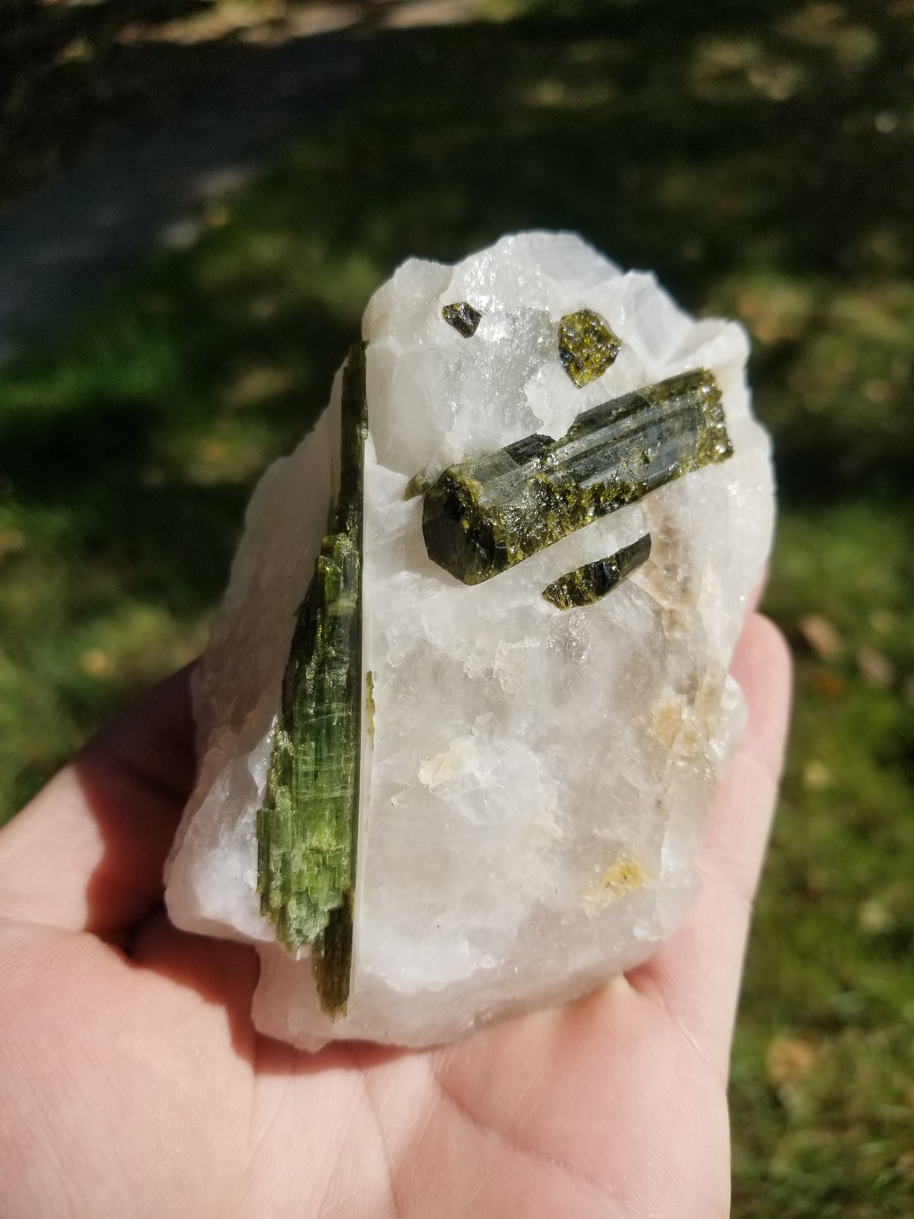 Natural Green Tourmaline Crystals On/Inside Quartz Nice Display Minerals Brazil