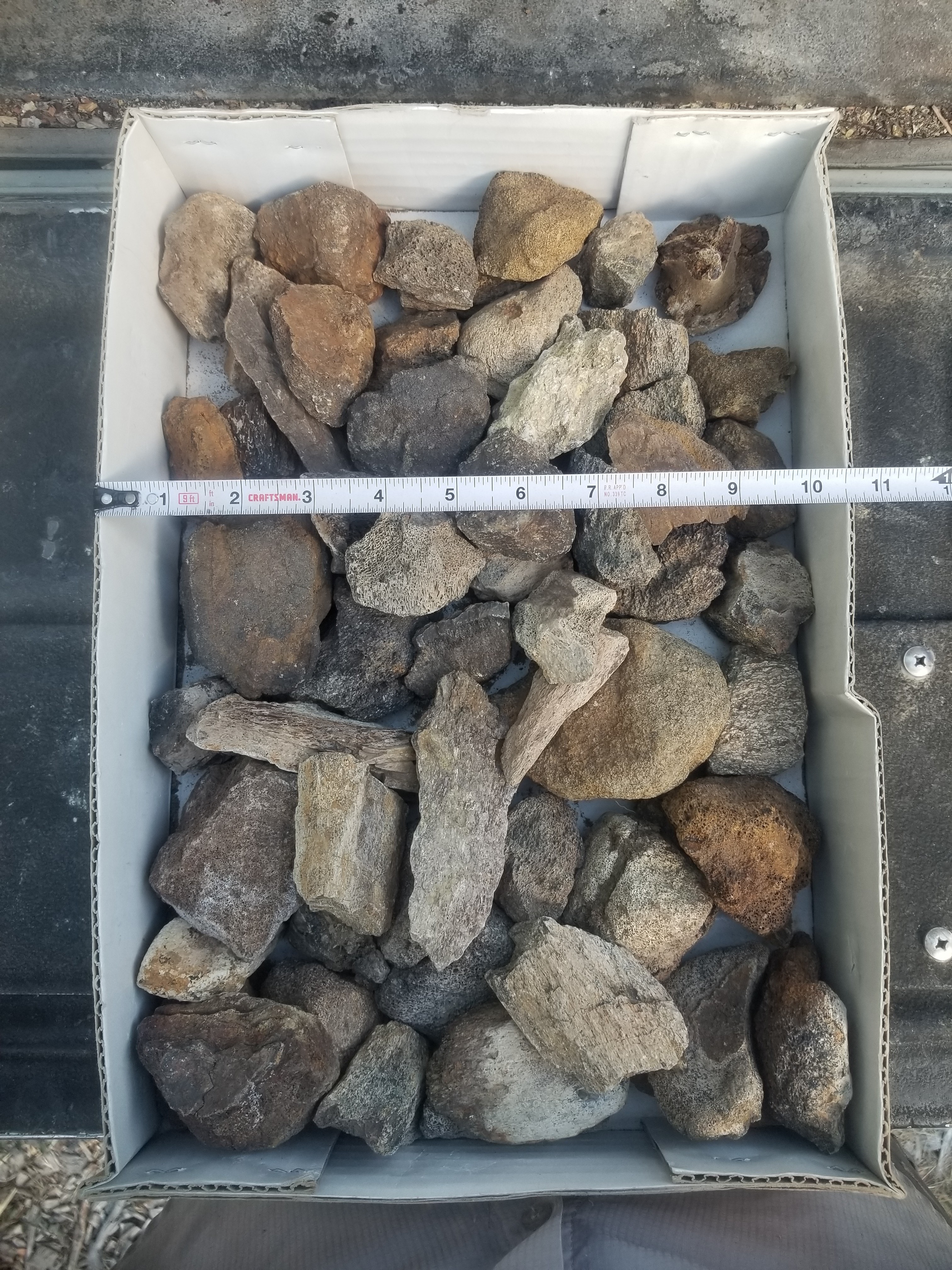 Nice 60 Piece 11.5Lb Hadrosaur Fossil Specimen Wholesale Flat Lot Cretaceous Hell Creek, MT
