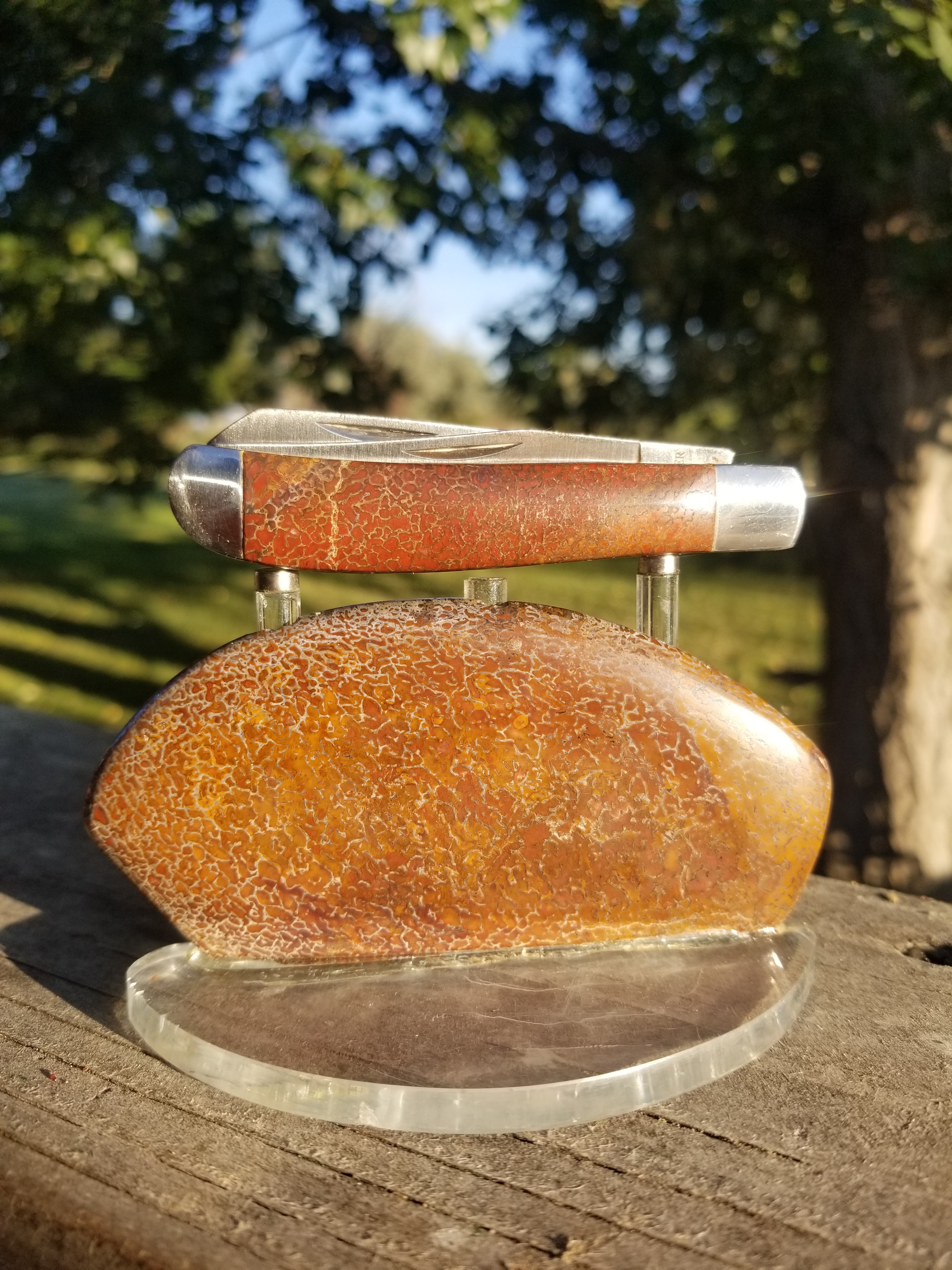 Nice Agatized Dinosaur Gem Bone Red Multicolor Pocket Knife w/Custom Matching Stand