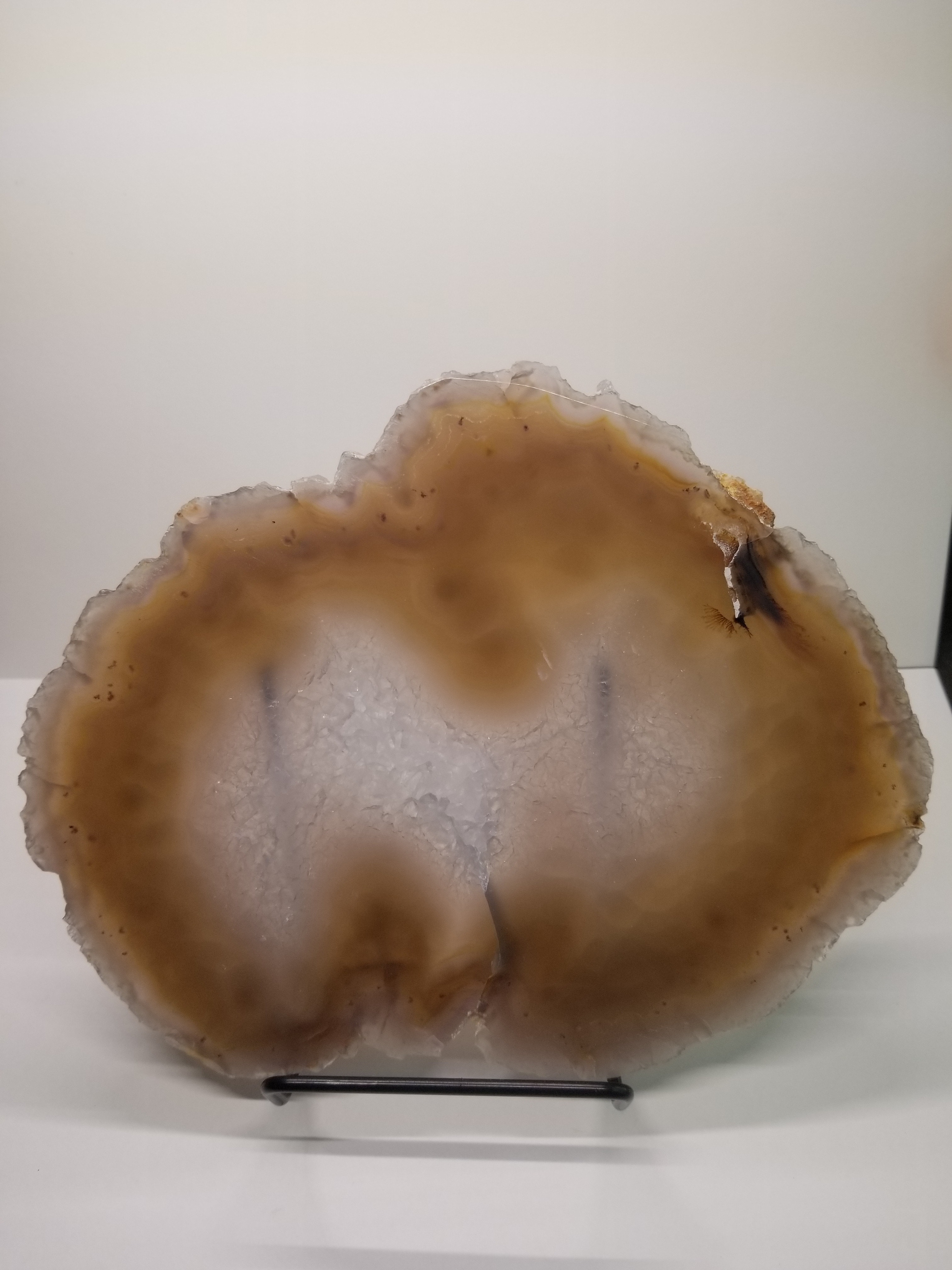 Nice Brazil Agate Slab Cut Polished Round Natural Beautiful Translucent Unique Decor