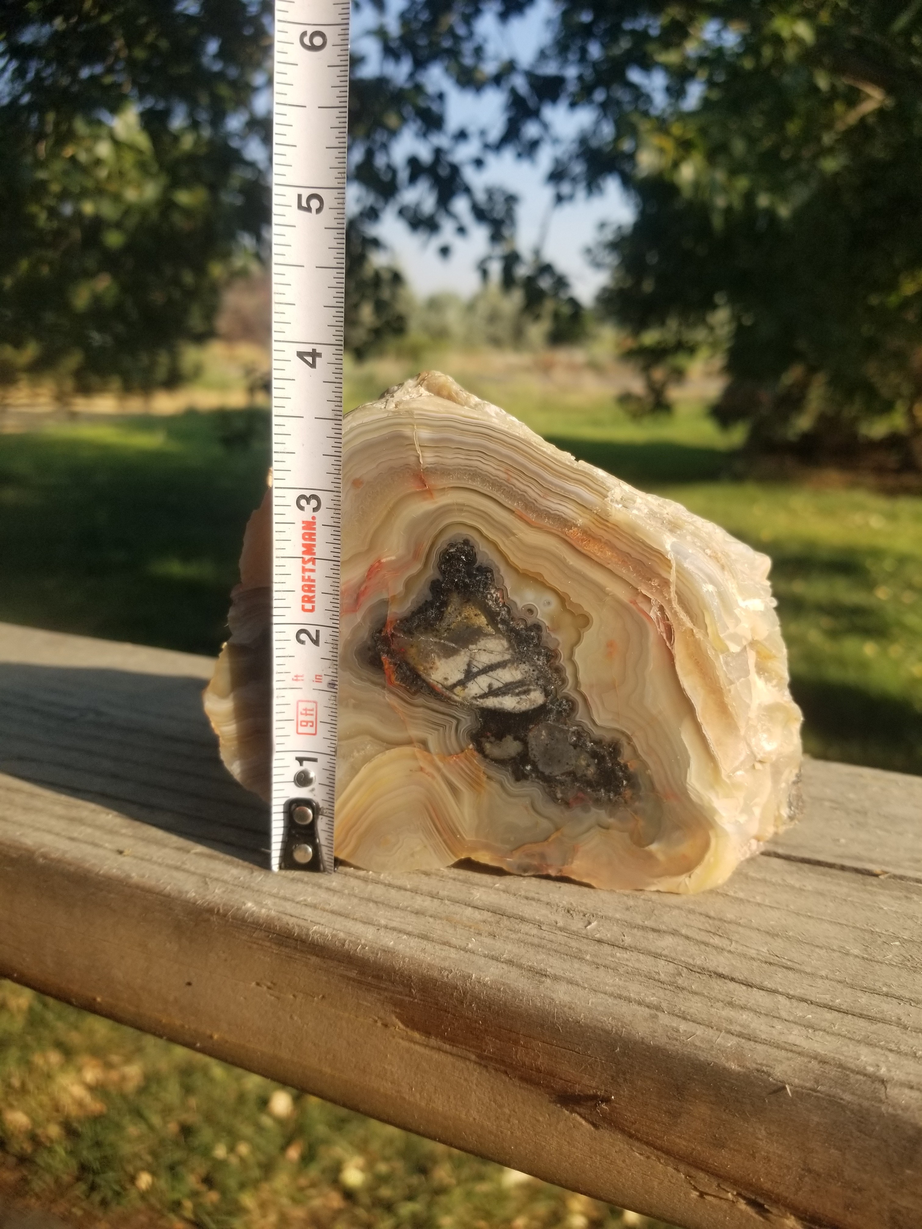 Nice Crazy Lace Banded Picture Agate Chalcedony Face Polished Specimen 1.3+Lb