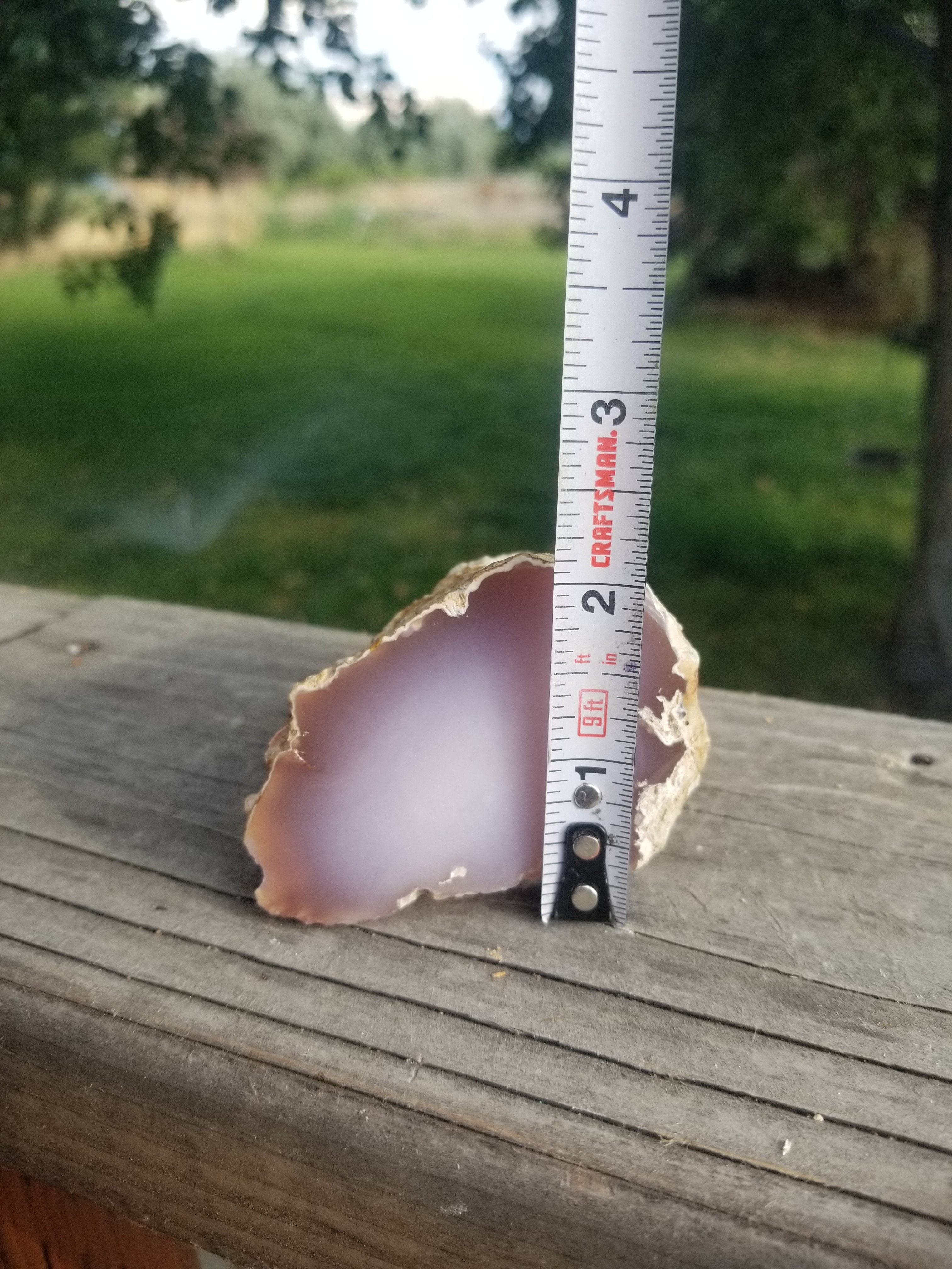 Nice Large Polished Texas Springs Petrified Agatized Wood Limb Cast Pink Oligocene NV 9oz 268g