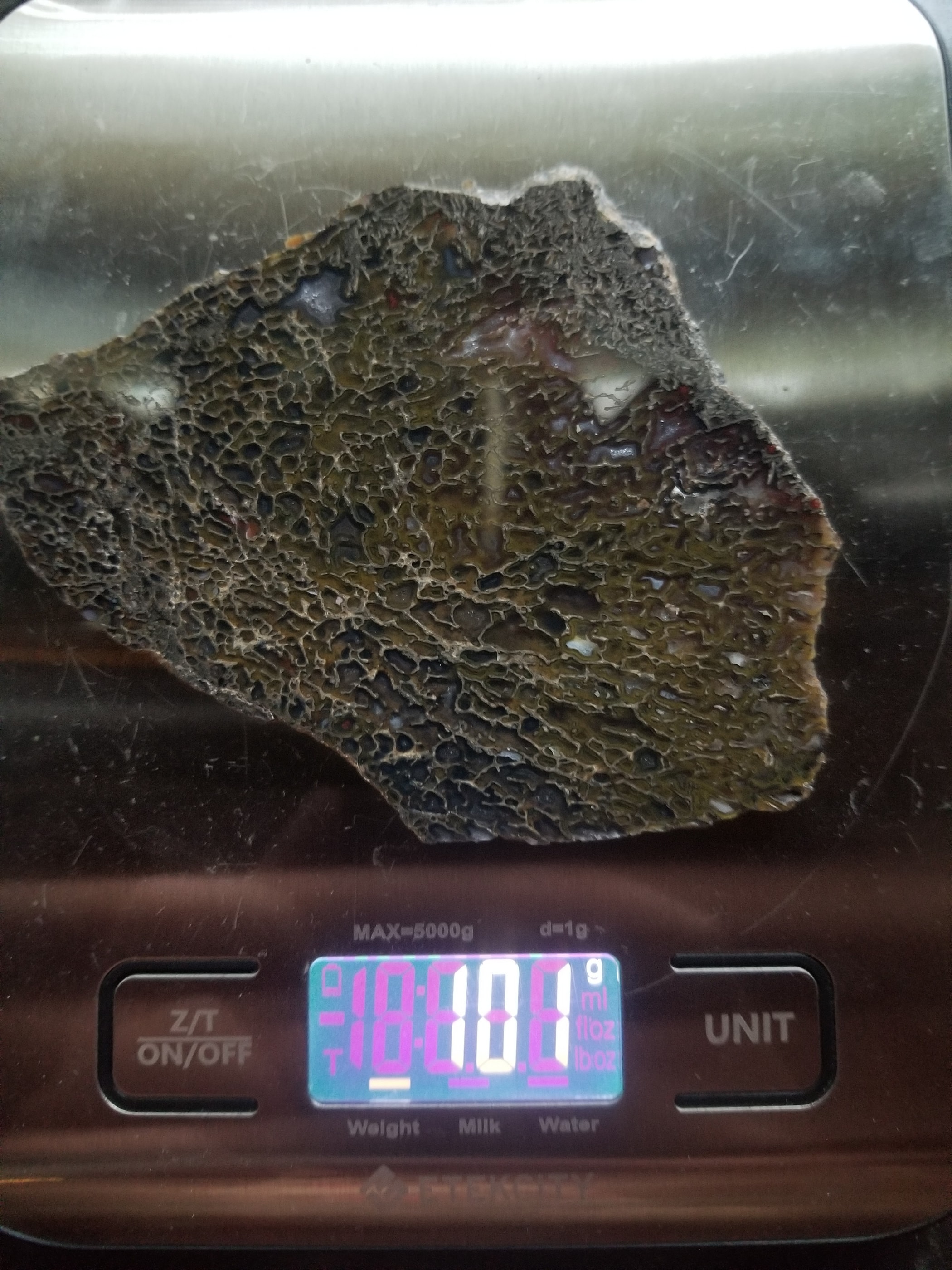 Polished Agatized Dinosaur Gem Bone Slab Specimen Multicolor Jurrasic 5x3.5"