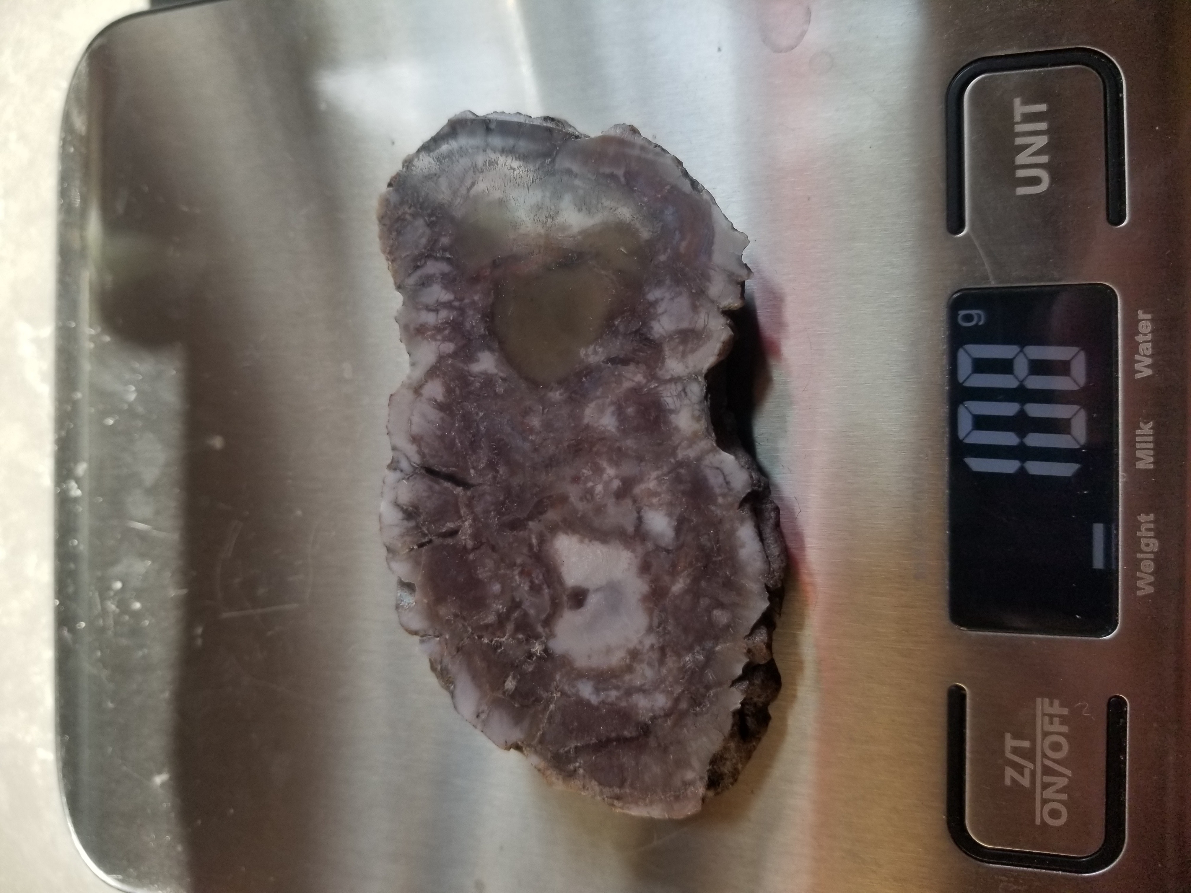 Nice Polished Coprolite End Specimen Fossilized Agatized Dinosaur Poop Dung Natural 108g