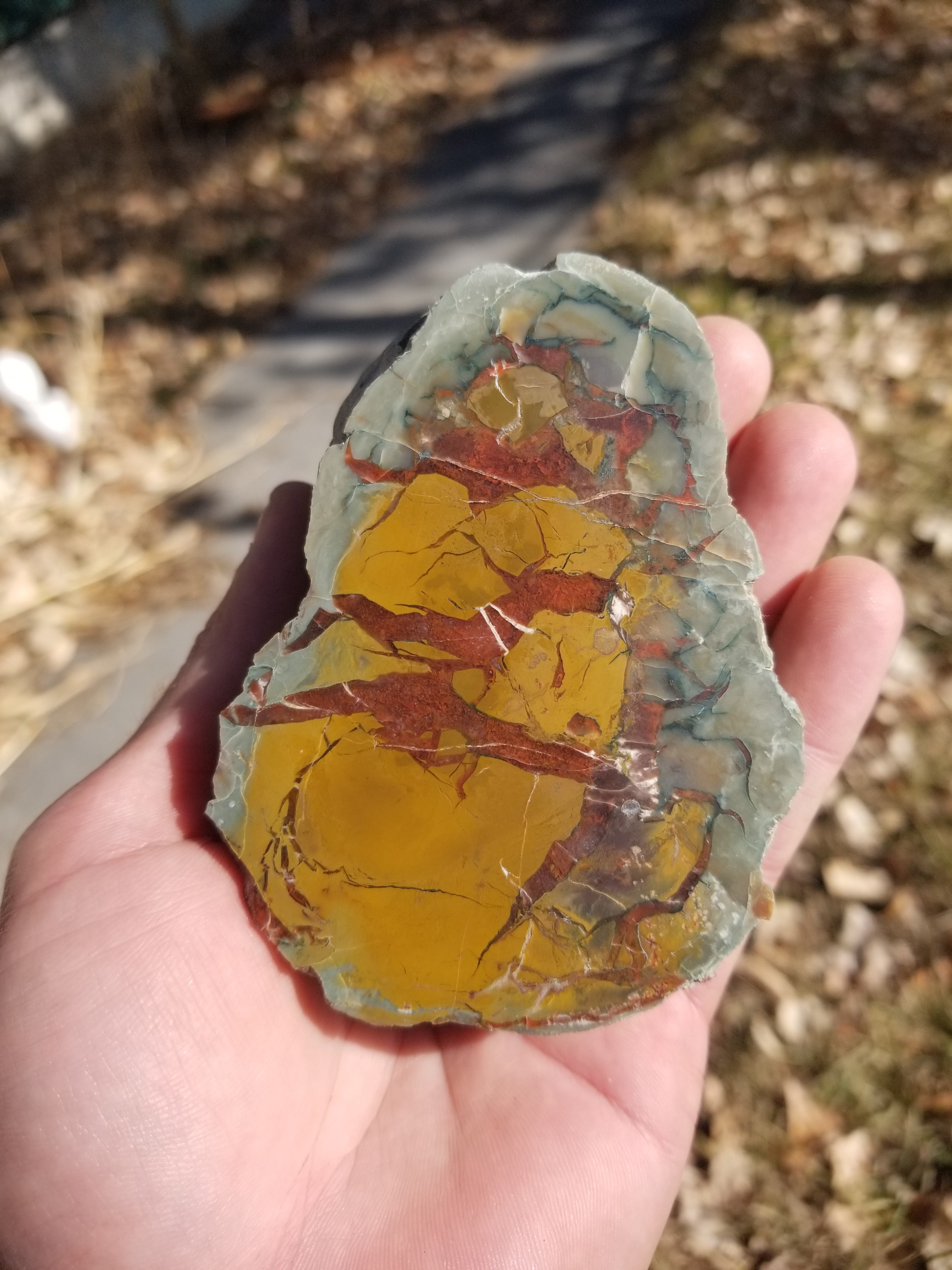 Nice Polished Coprolite Half Specimen Fossilized Agatized Dinosaur Poop Dung Natural 3/4Lb