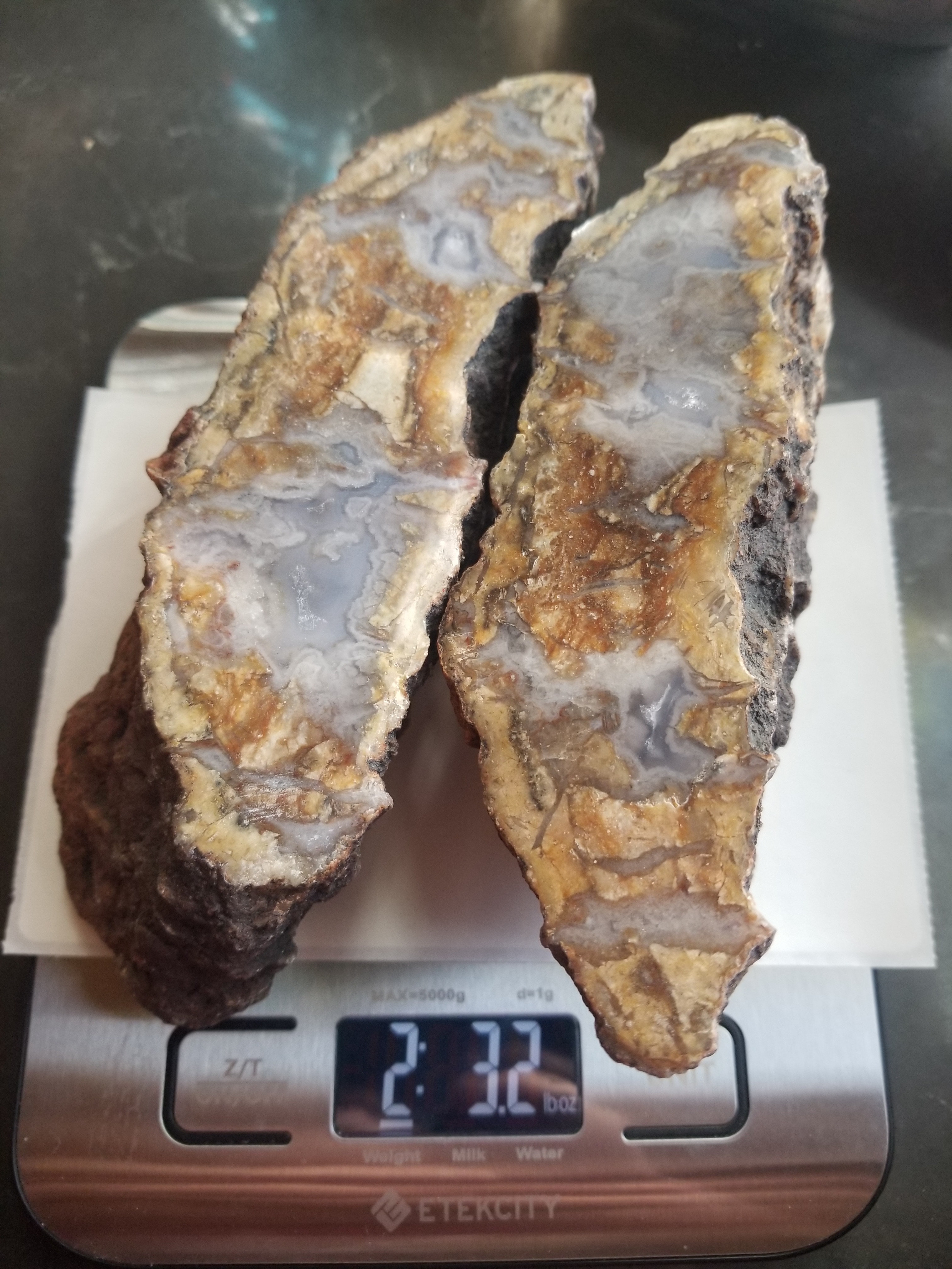 Nice Polished Coprolite Whole Specimen Halved Fossilized Agatized Dinosaur Poop Dung Natural 2+Lb