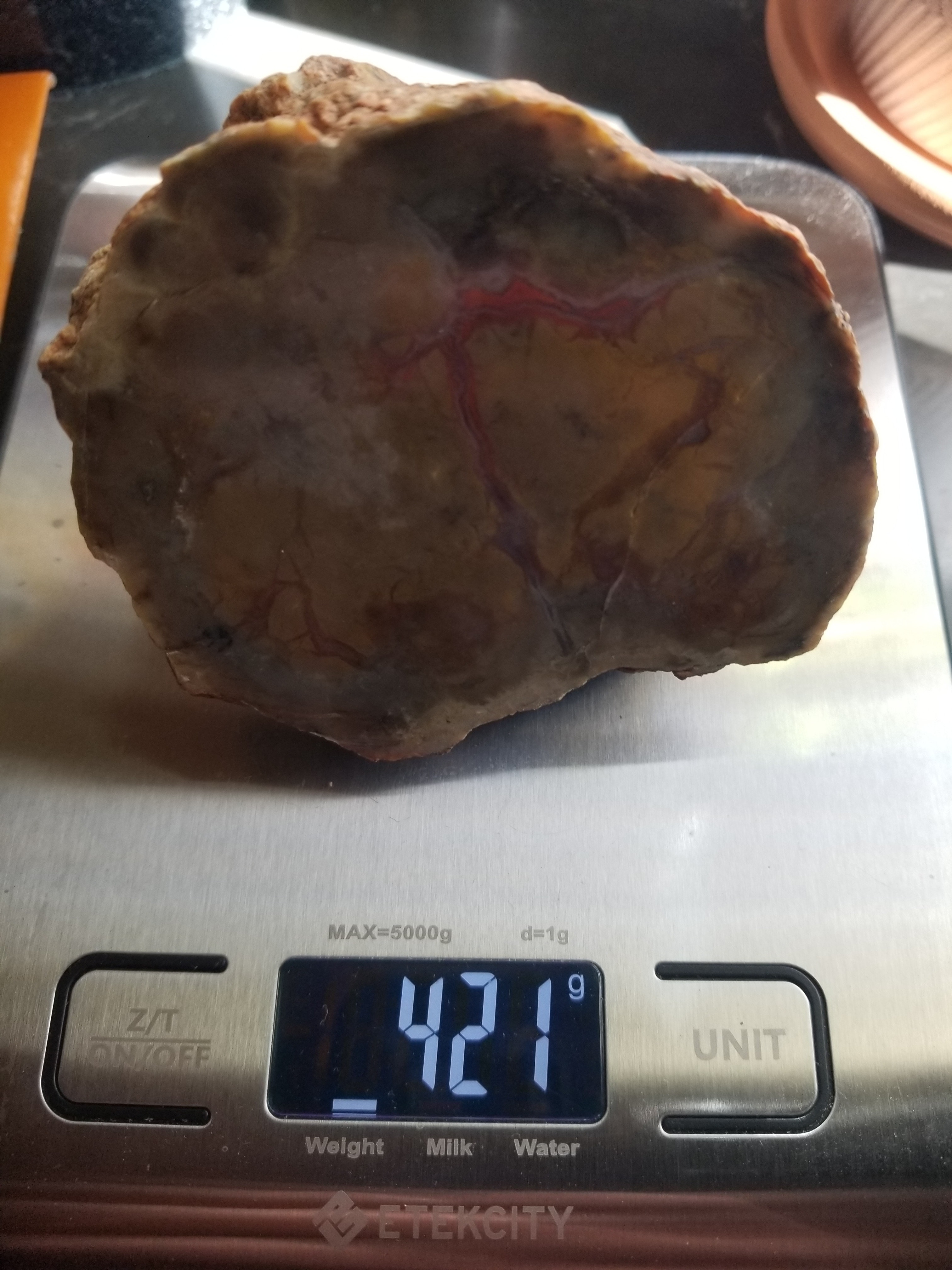 Nice Polished Coprolite Half Specimen Fossilized Agatized Dinosaur Poop Dung Natural 421g