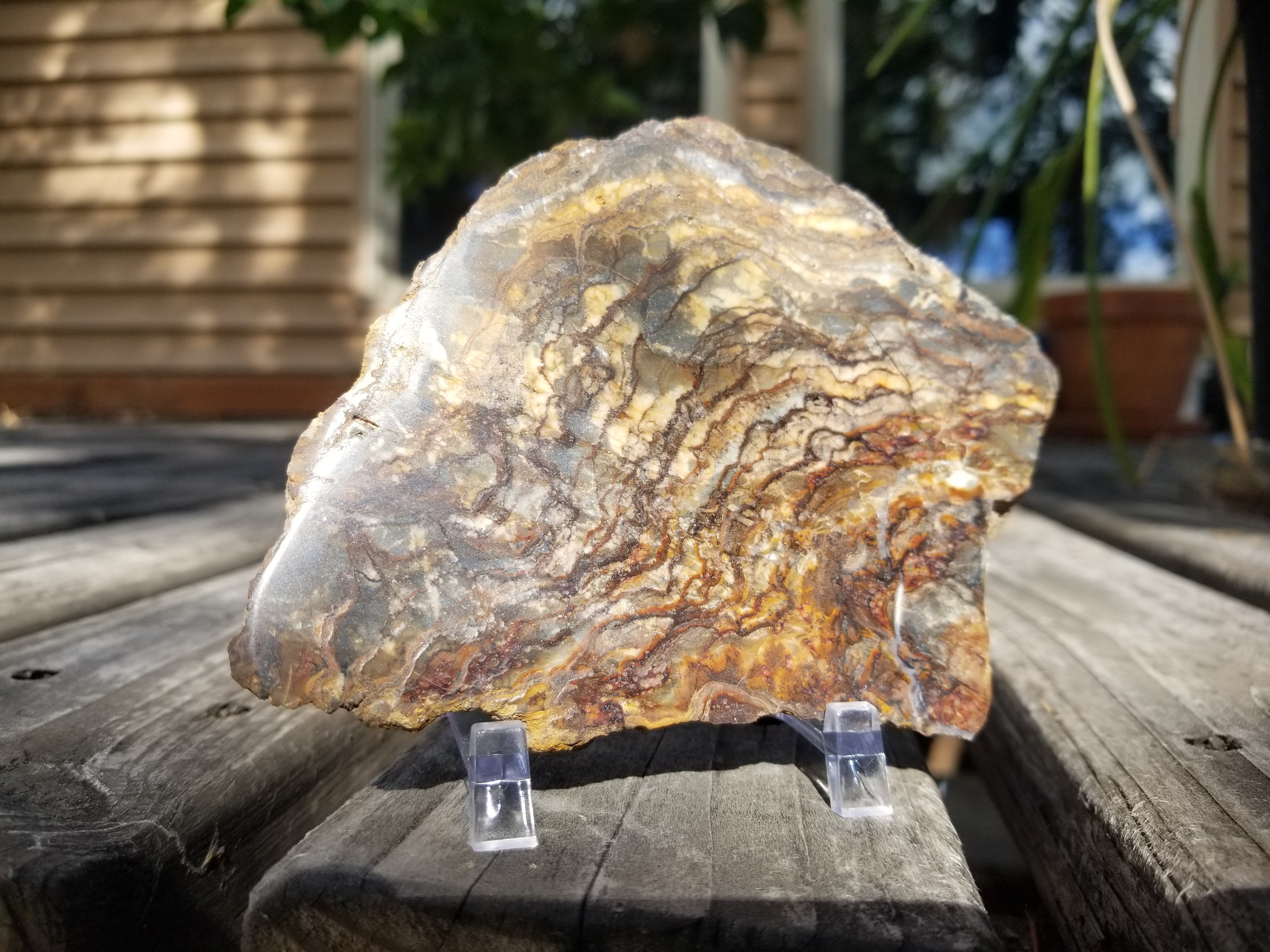 Nice Polished Picture Jasper Slab 5x3.5" Display Old Collection