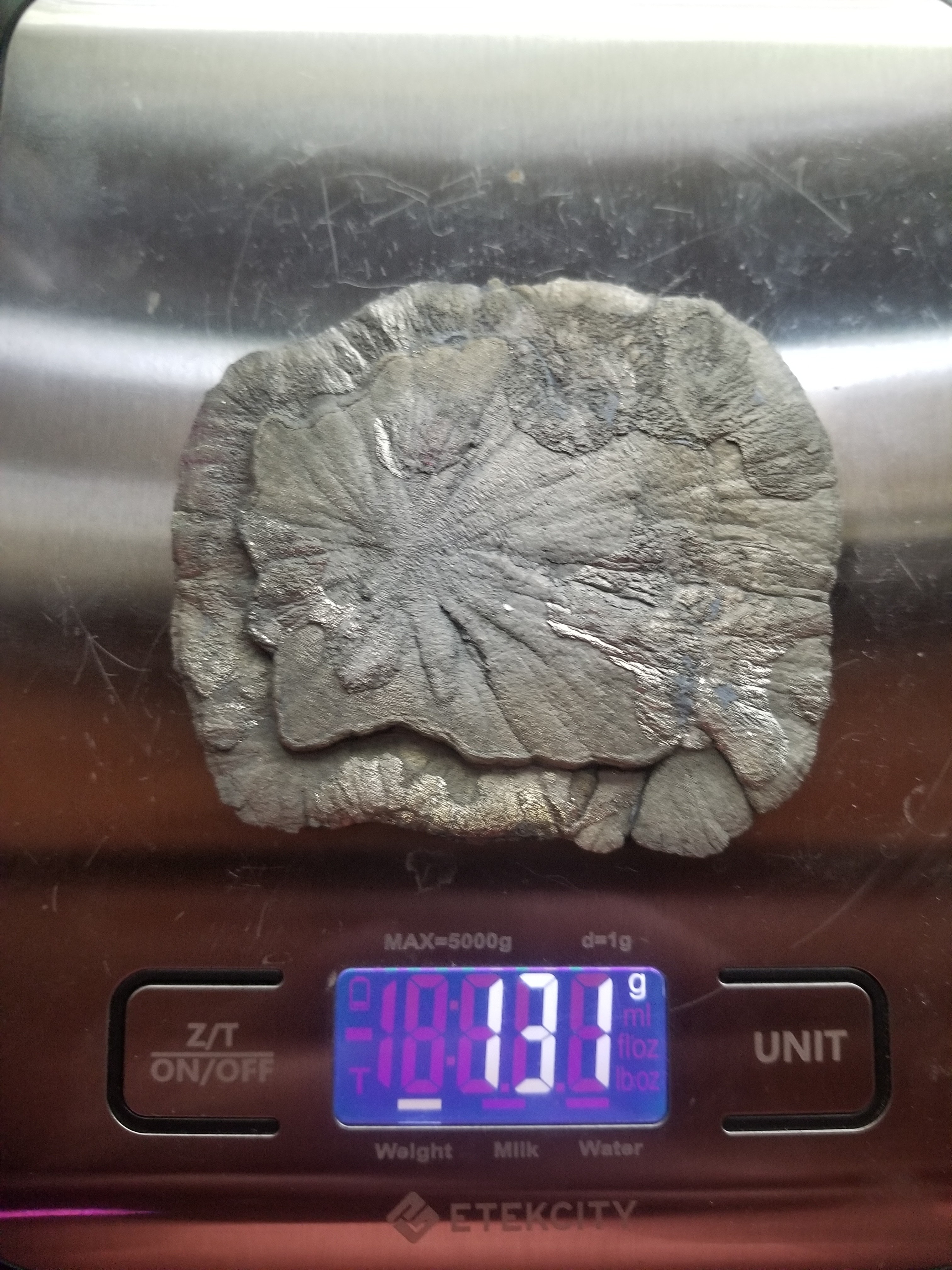Nice Pyrite Sun - Pyrite Dollar 131g Natural Specimen 3.25x3" Round Sparta Illinois