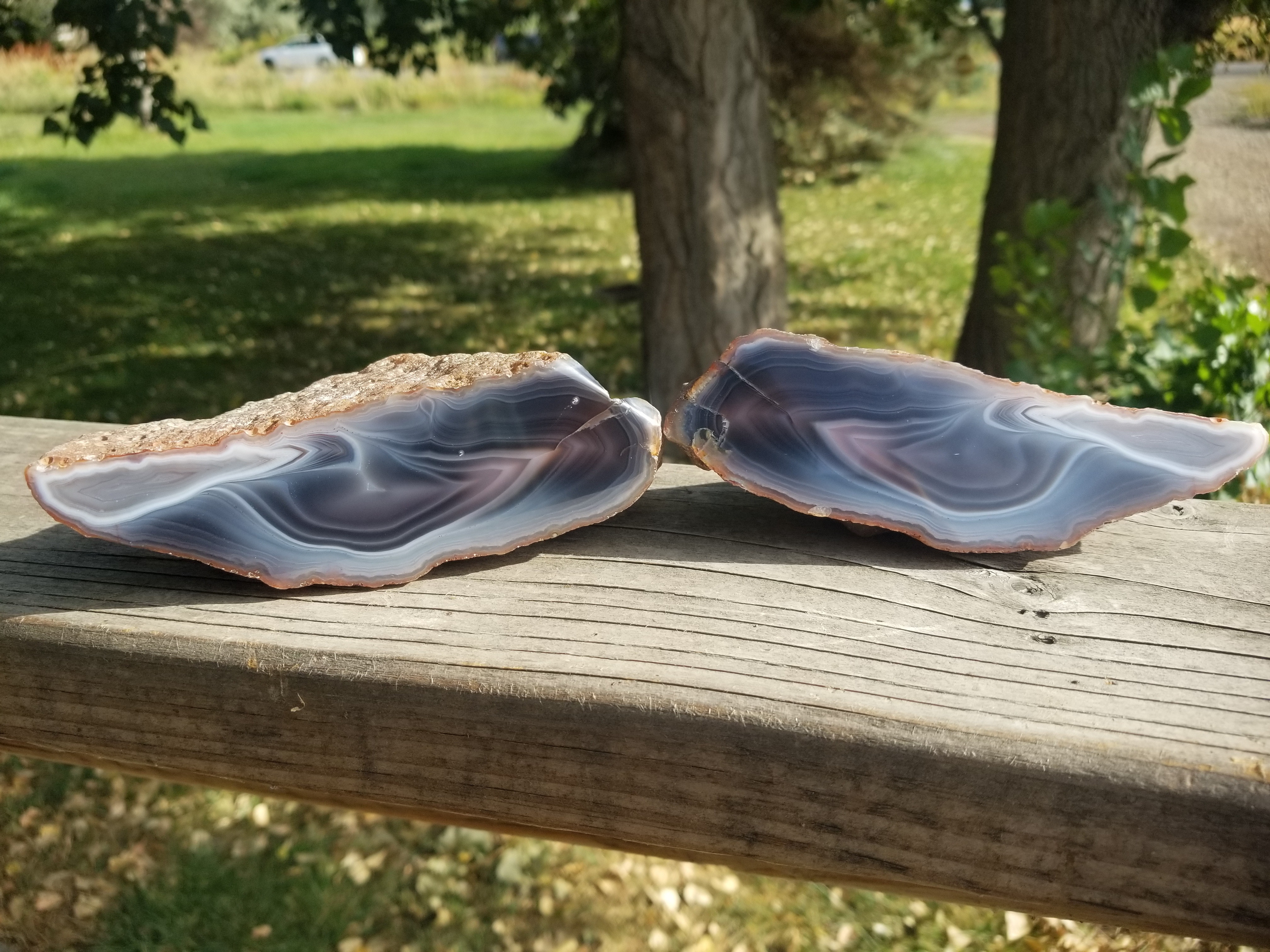 Nice RARE XL Polished Botswana or Swazi Agate Matching Geode Halves Display 2+Lb Old Stock/Collection