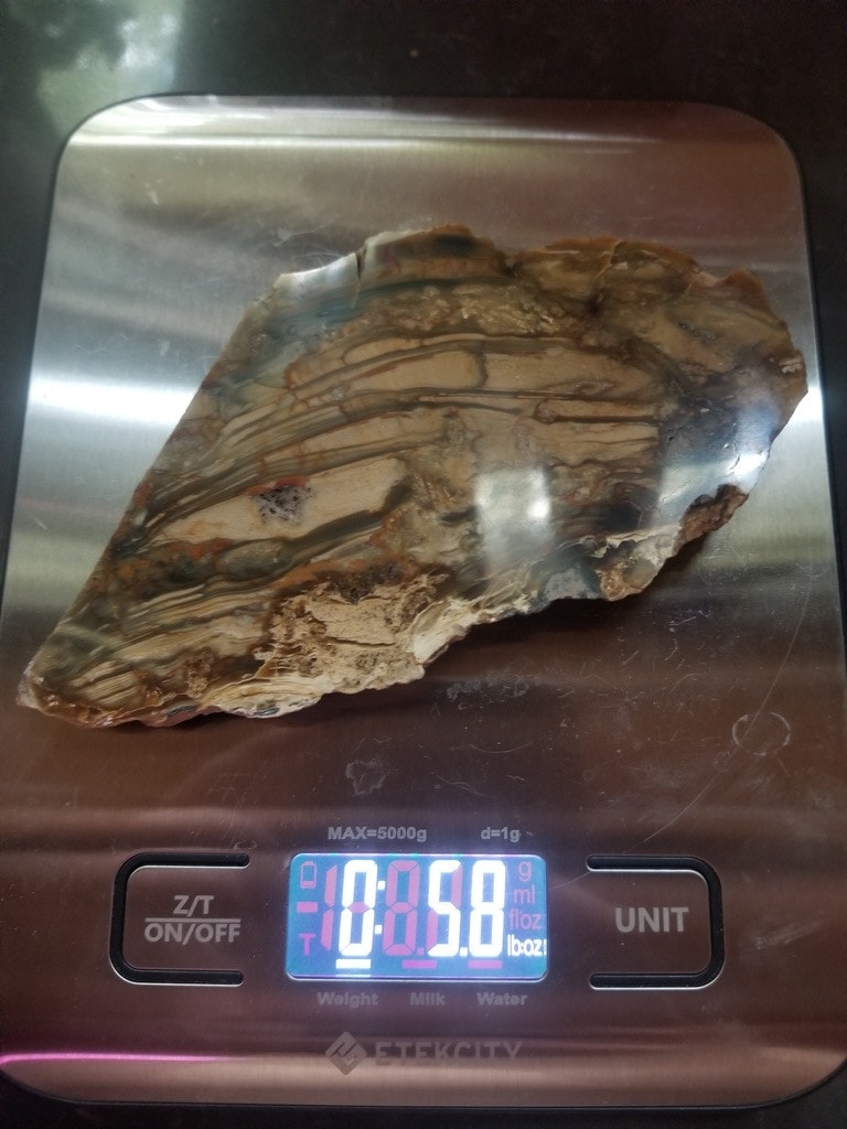Nice Scenic Blue Mountain Jasper Polished End Cut Specimen Multicolor
