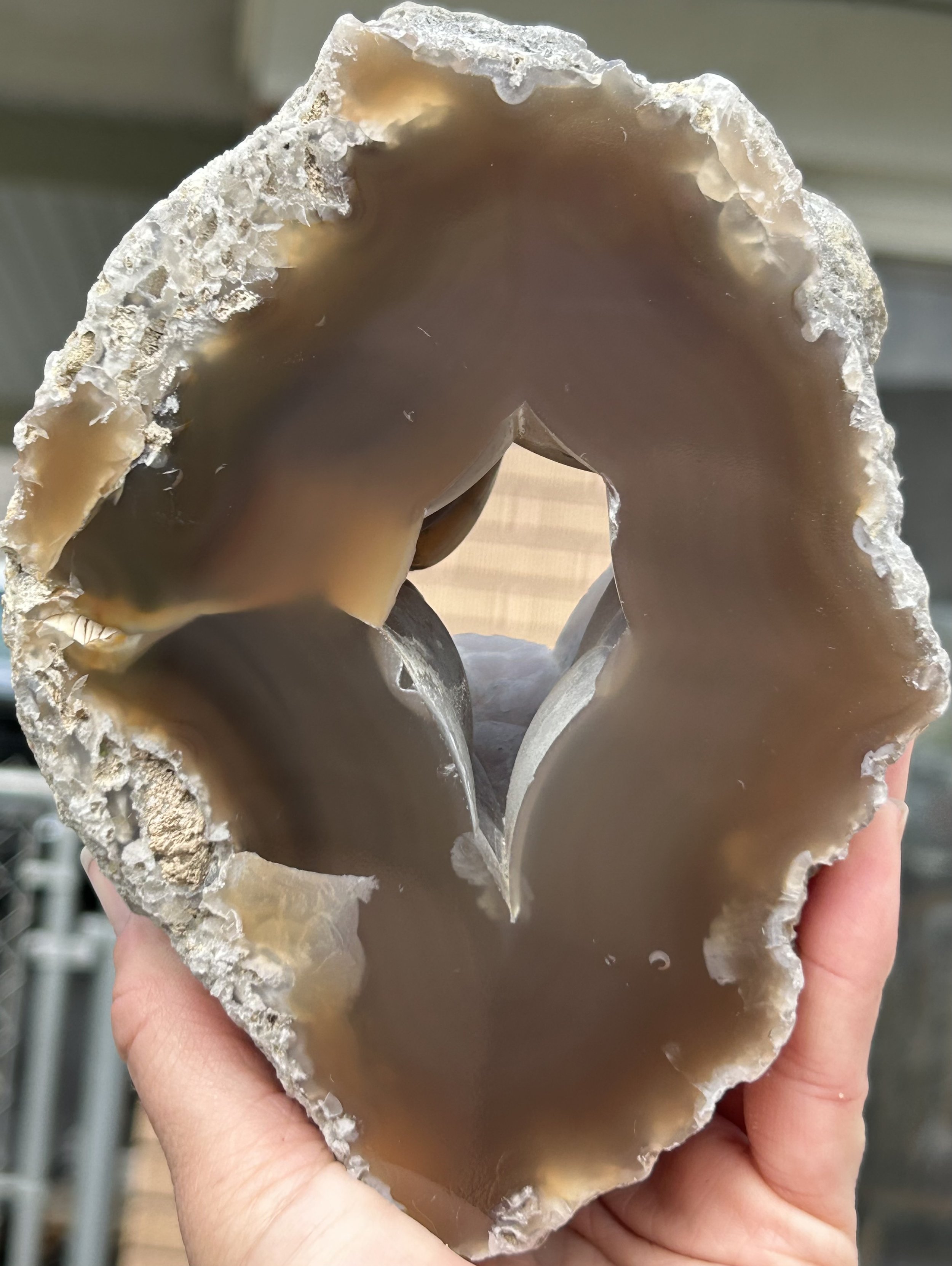 Beautiful Large 4+Lb Polished Wiggins Fork Agate Limb Cast - Petrified Wood Tree Limb w/Hollow Core
