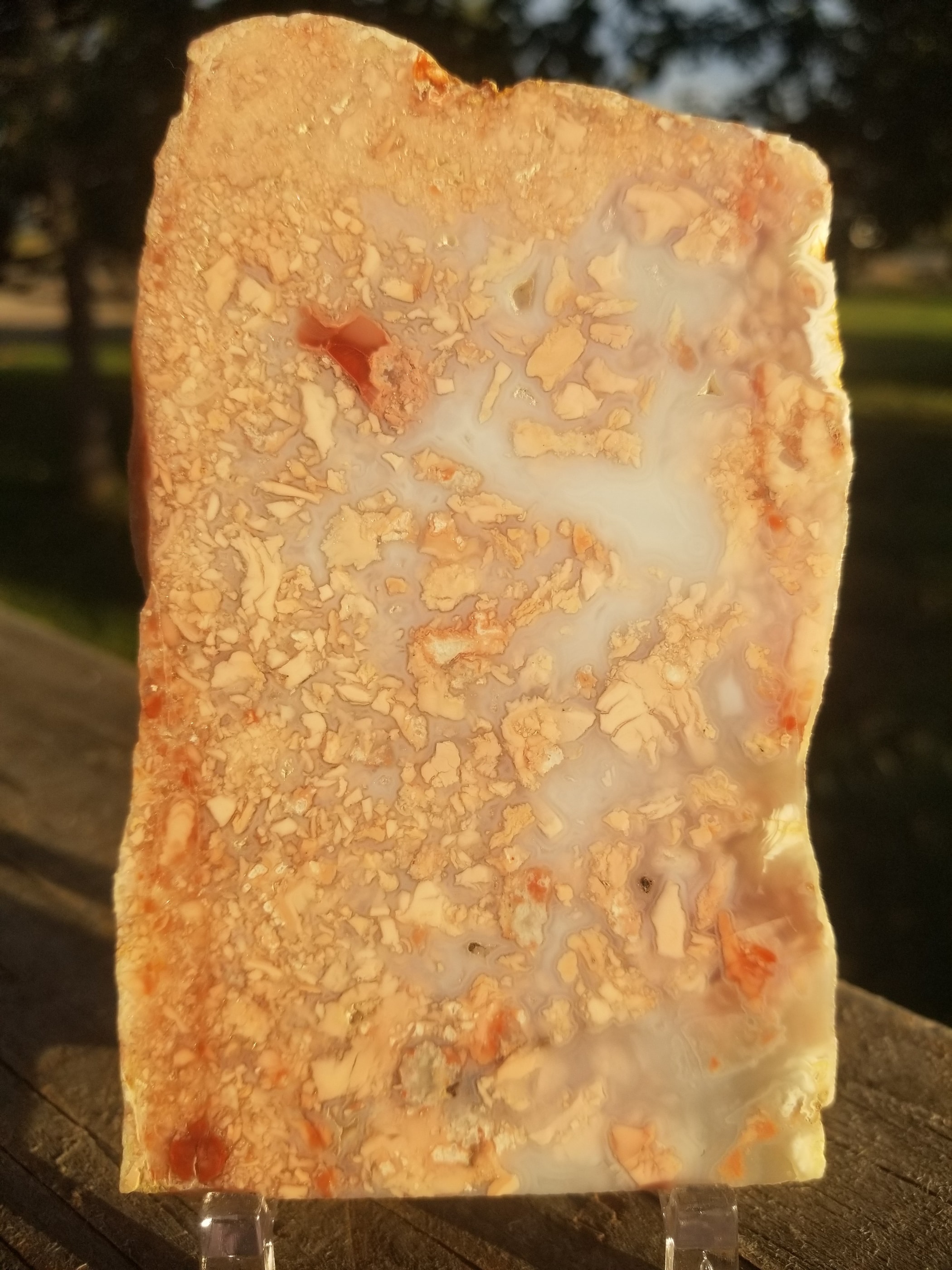 Polished Cotton Candy Brecciated Agate Jasper Slab 169g