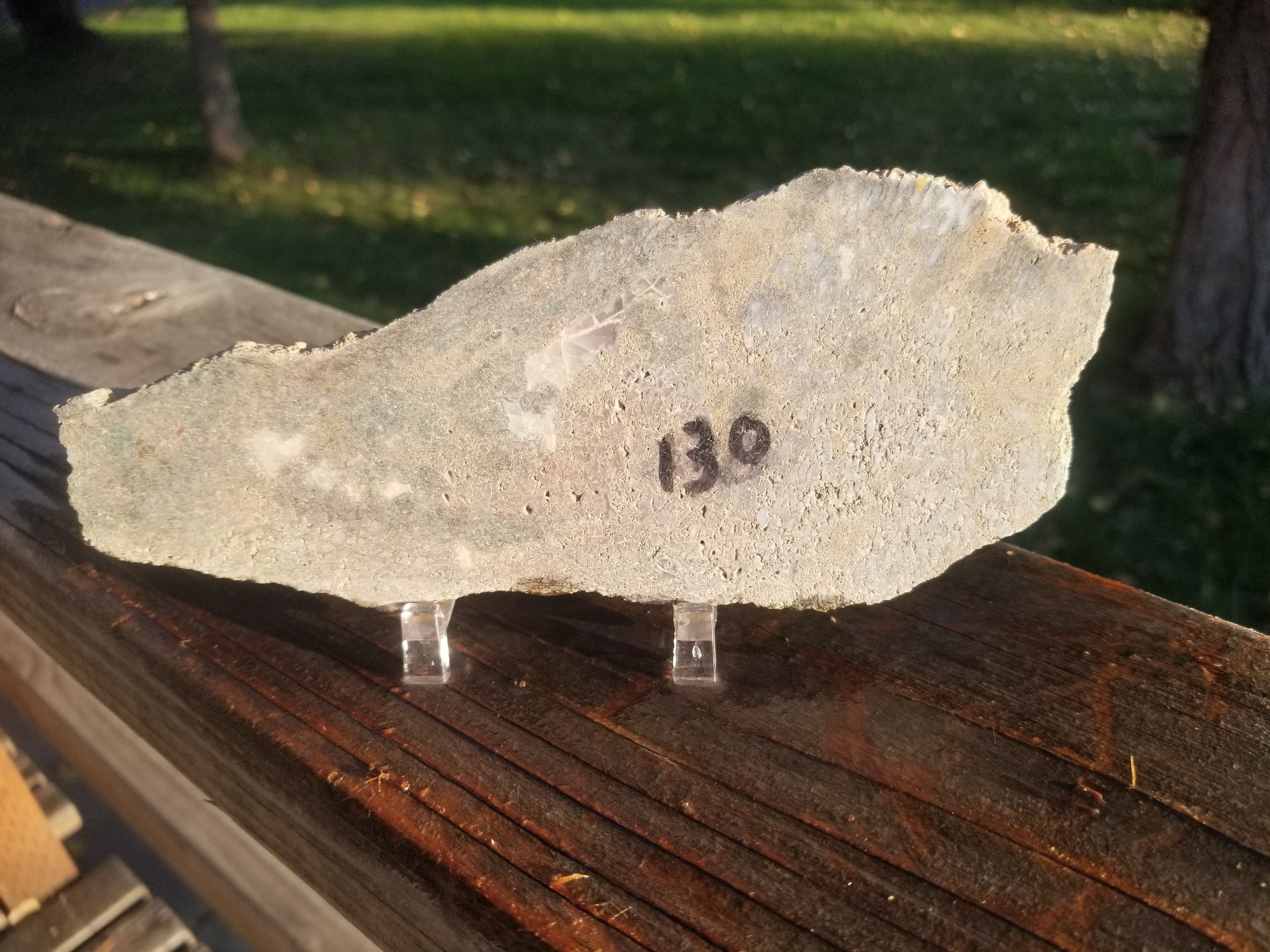 Rainbow Agatized Dinosaur Gem Bone Slab 160g Large Cell