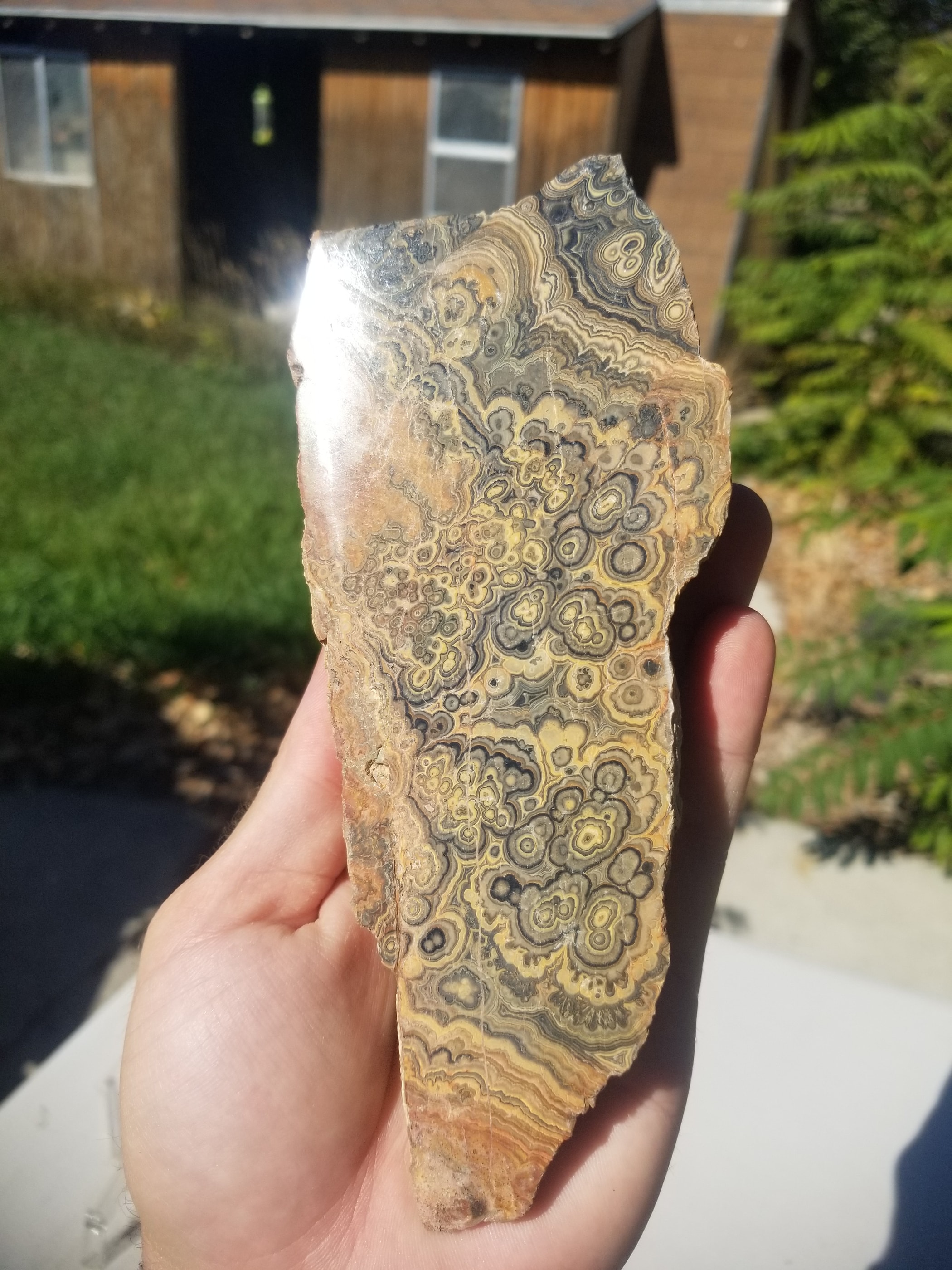 Rare Flowering Tube Onyx Polished Specimen 11.9oz Nephi Utah