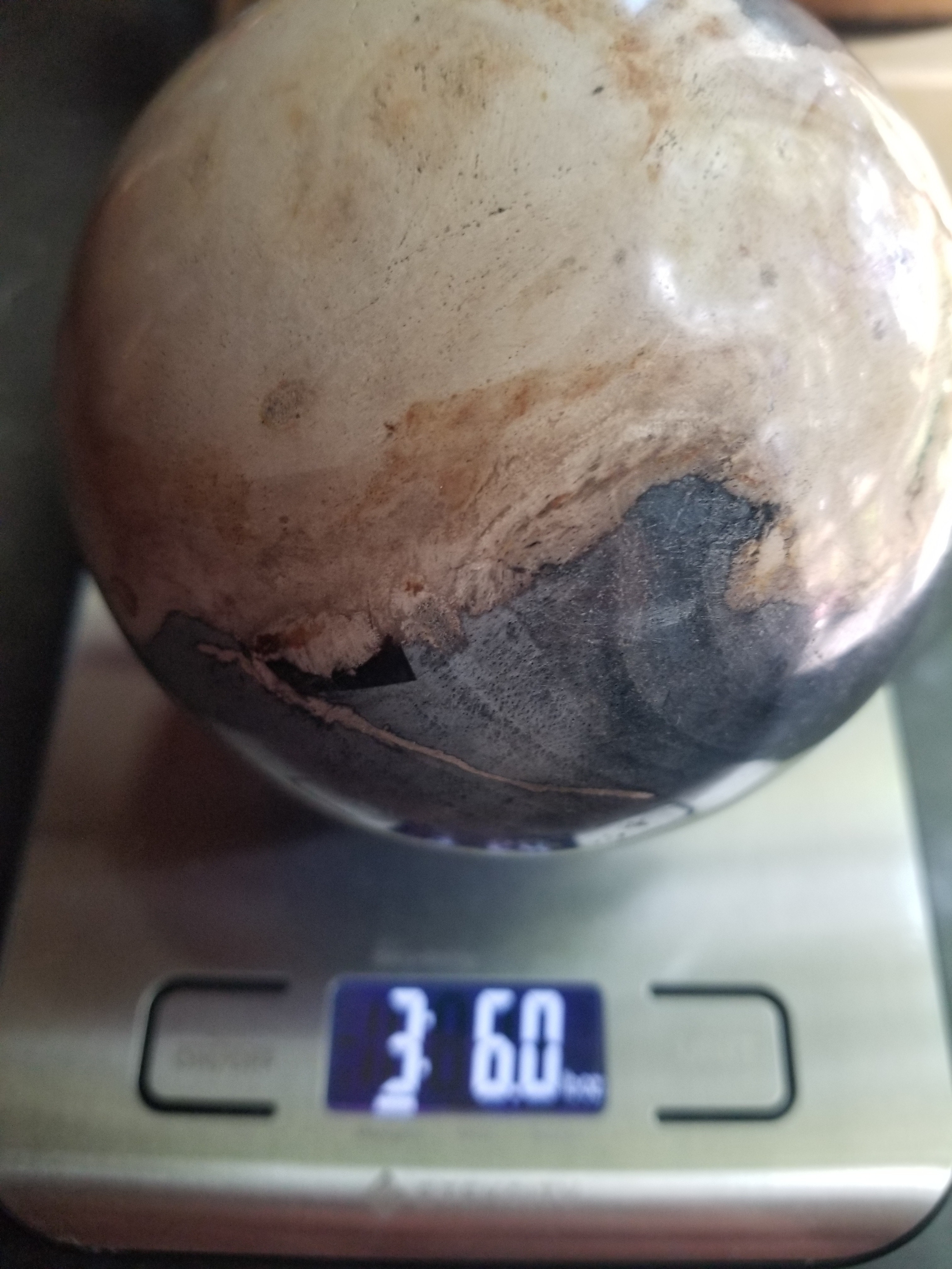 Real Large Polished Petrified Wood Sphere 4" Indonesia Nice Display Metaphysical 3+Lb