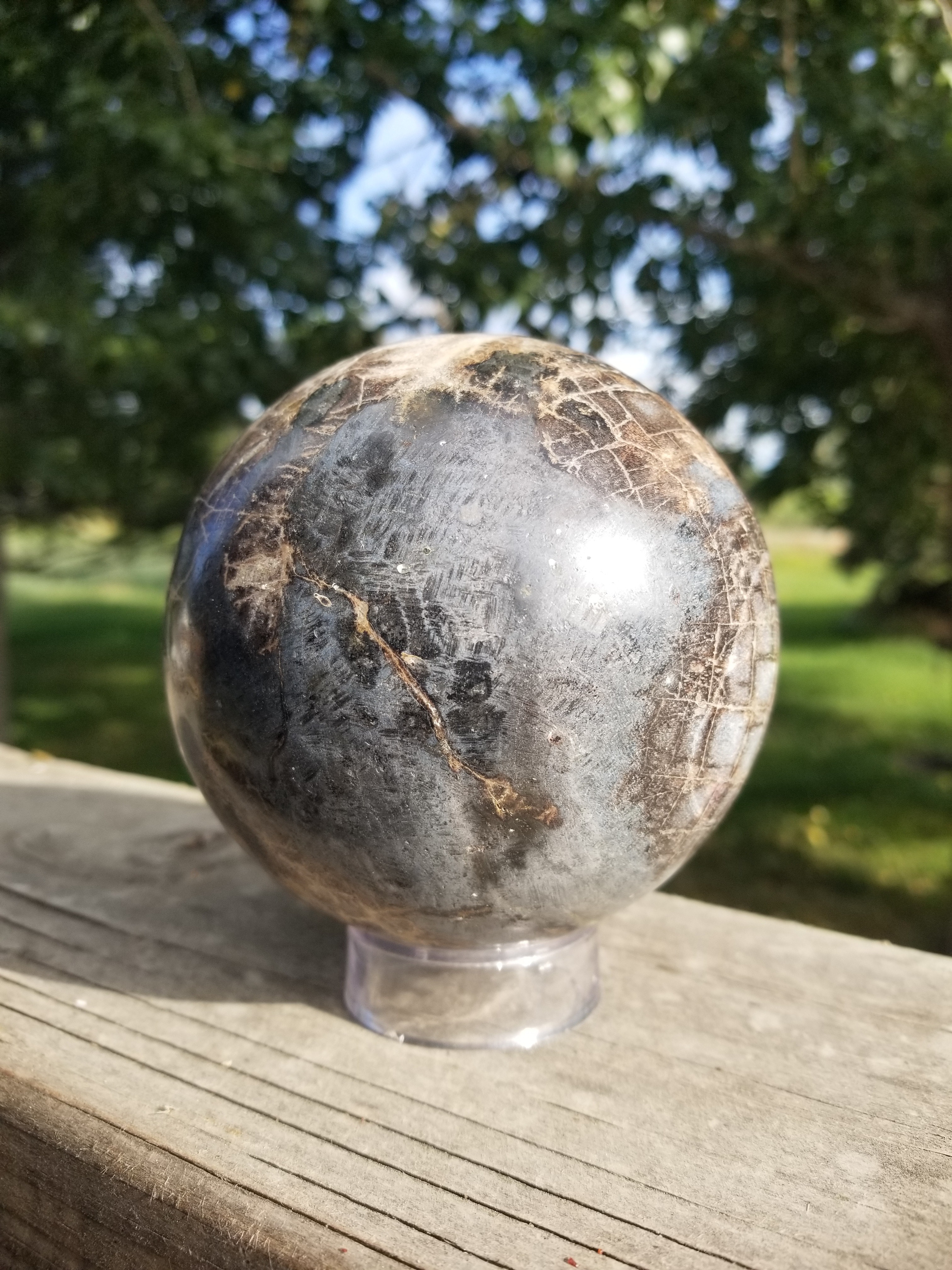 Real Large Polished Petrified Wood Sphere 4" Indonesia Nice Display Metaphysical 2.7Lb